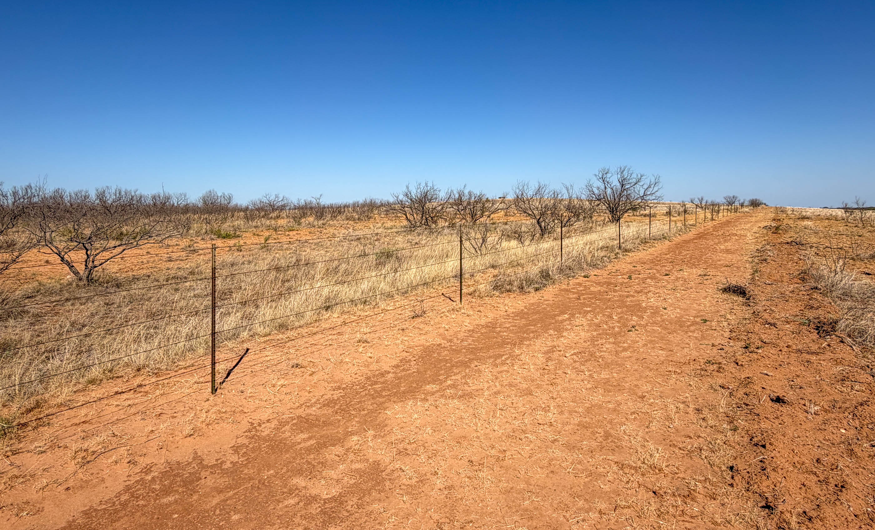 Young Family Ranch property photograph 14