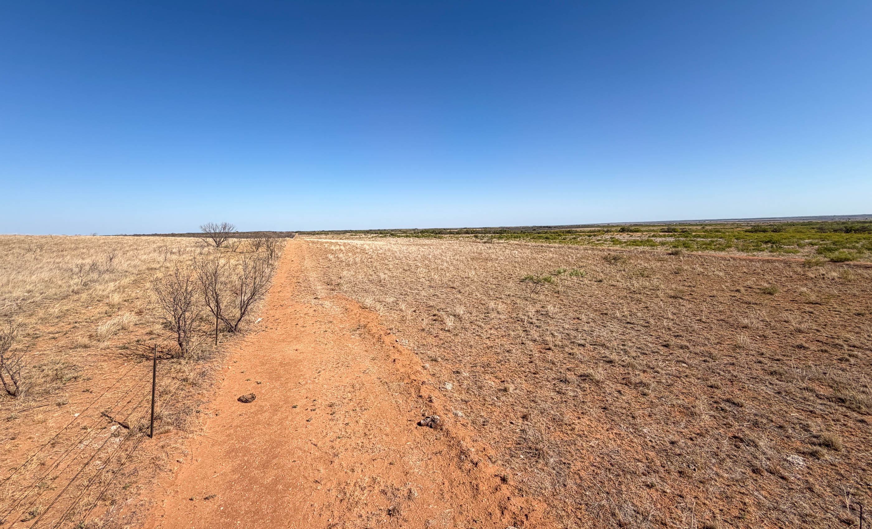 Young Family Ranch property photograph 20