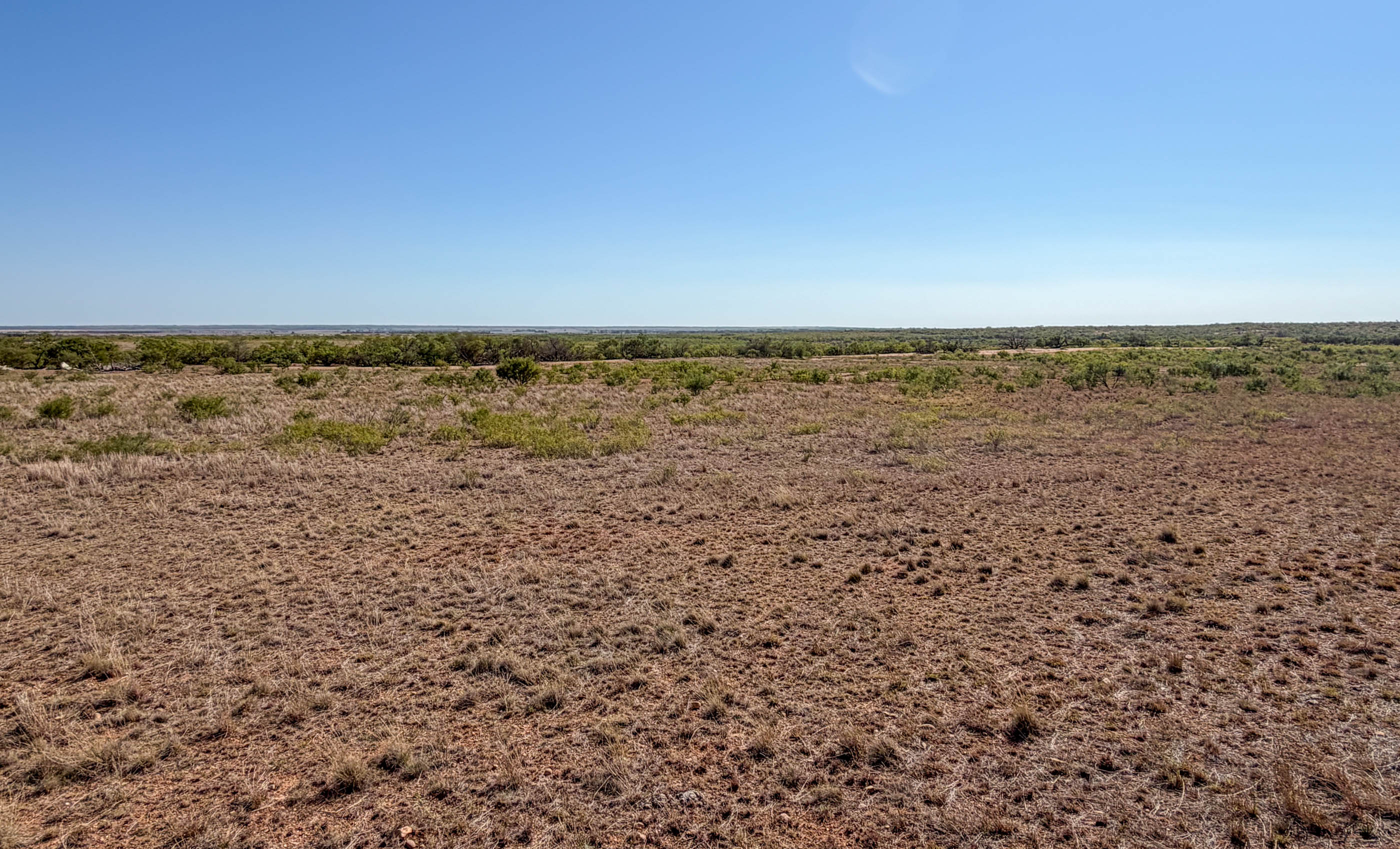 Young Family Ranch property photograph 21