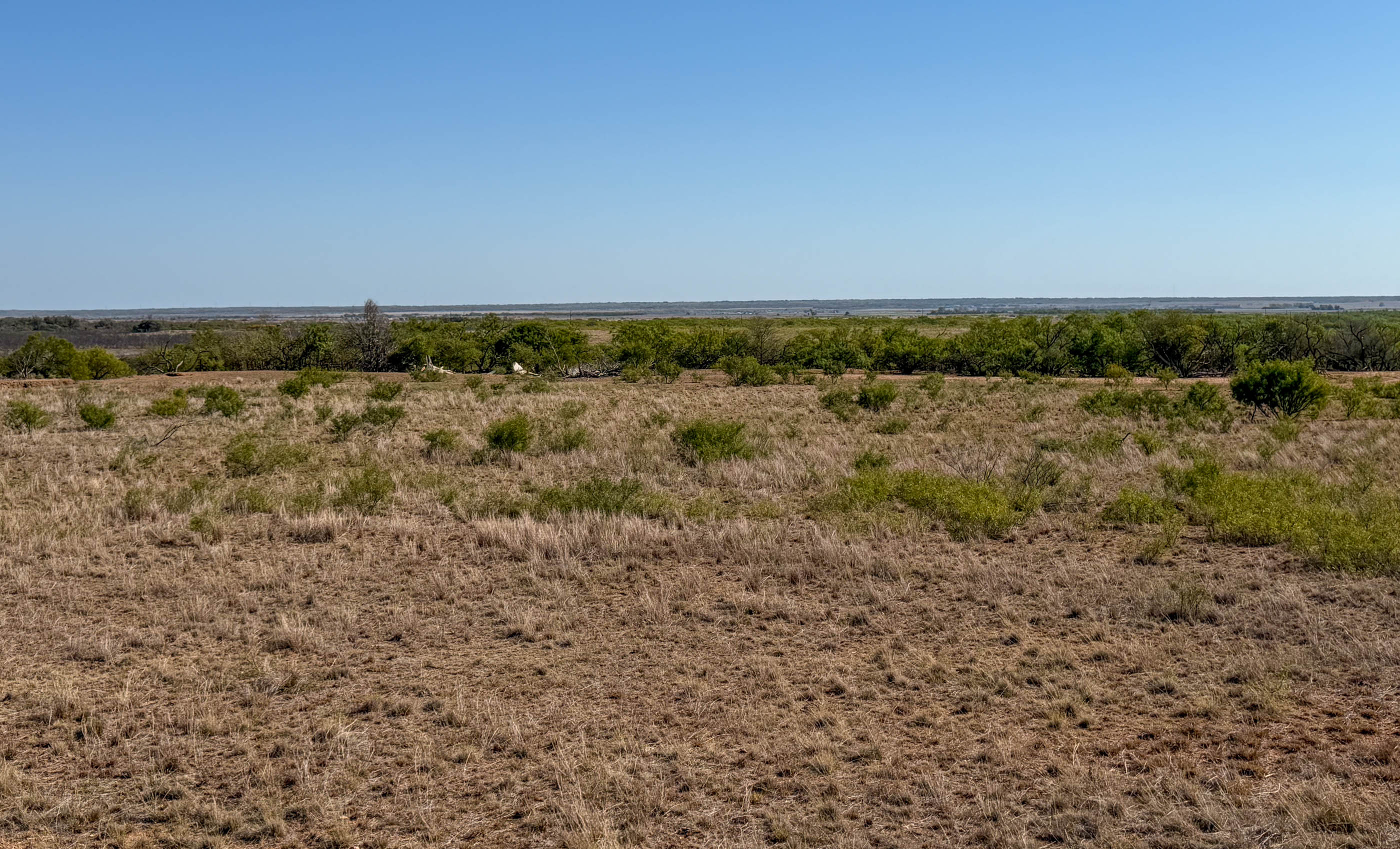 Young Family Ranch property photograph 1