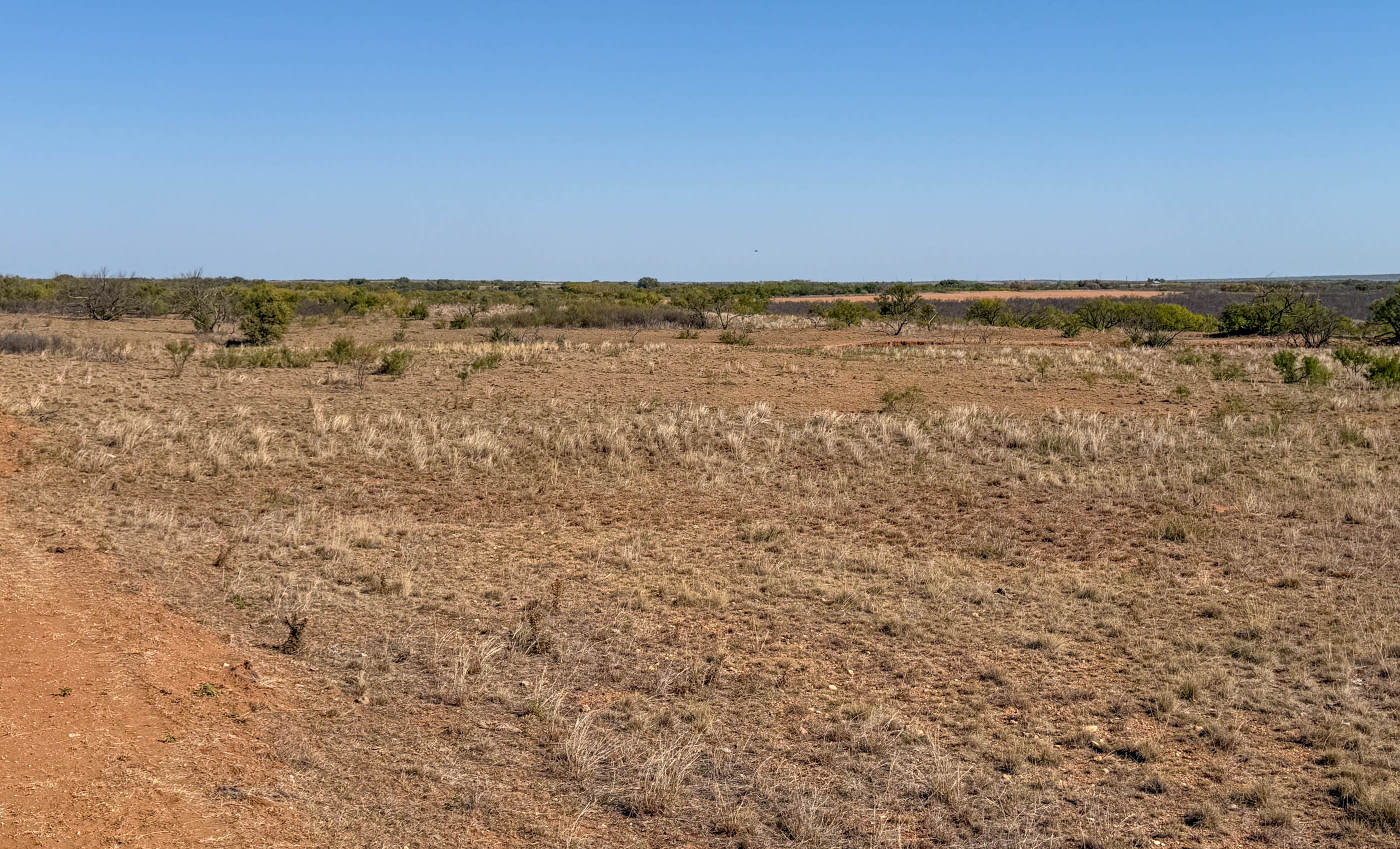 Young Family Ranch property photograph 17