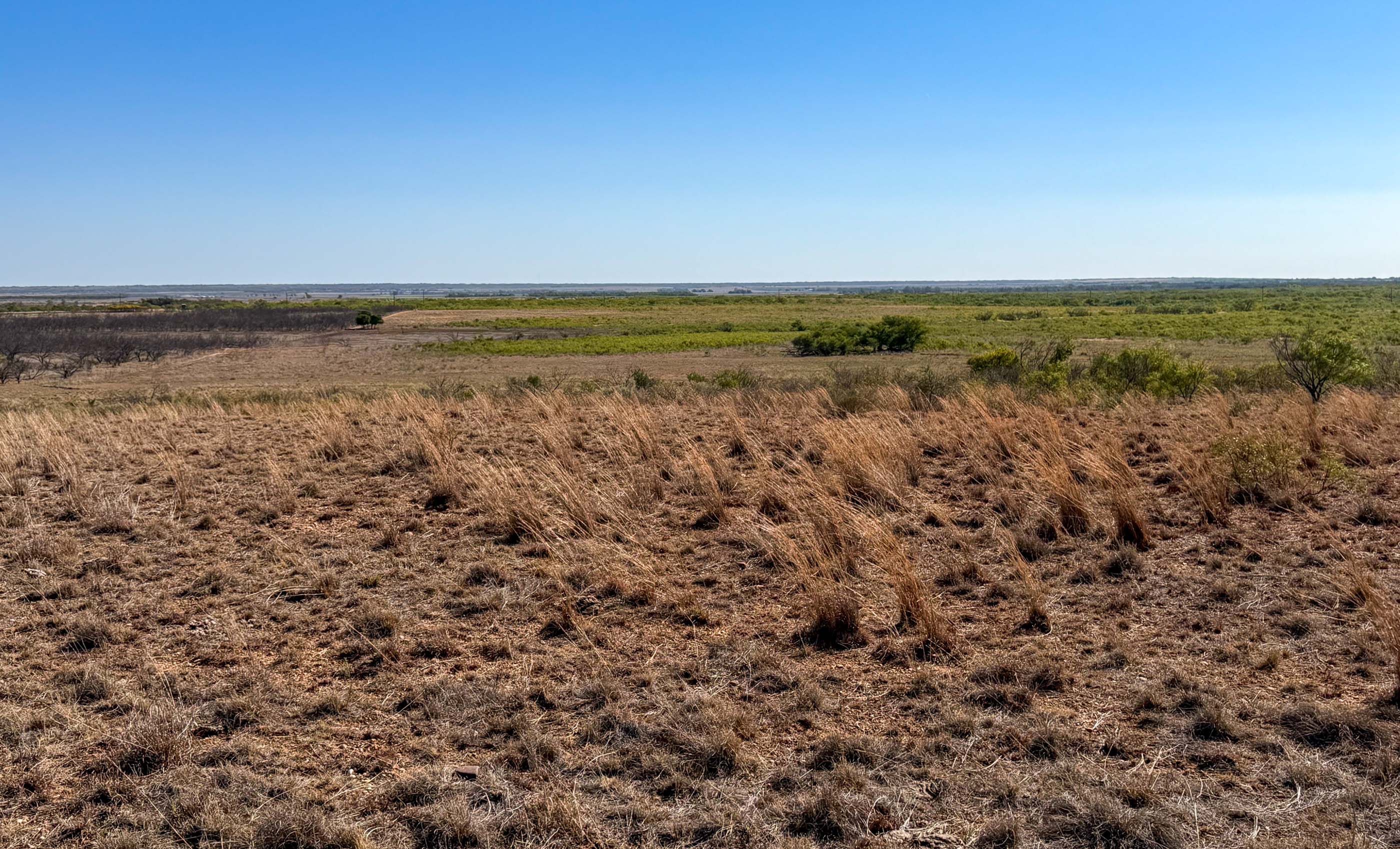 Young Family Ranch property photograph 22