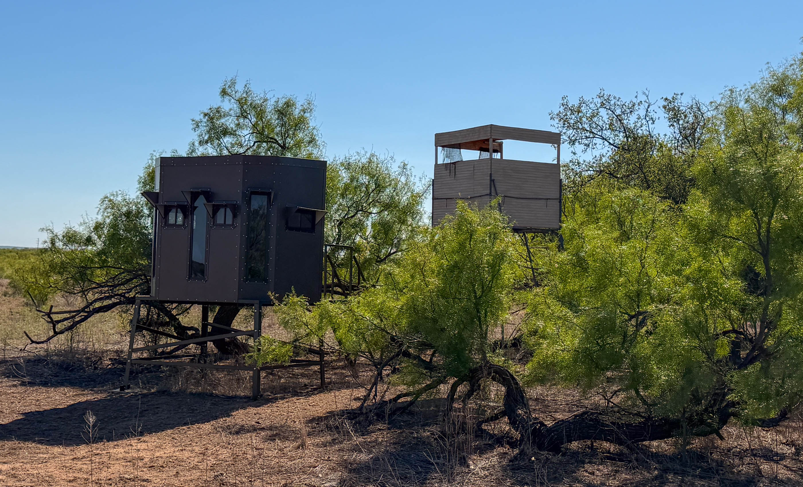 Young Family Ranch property photograph 11