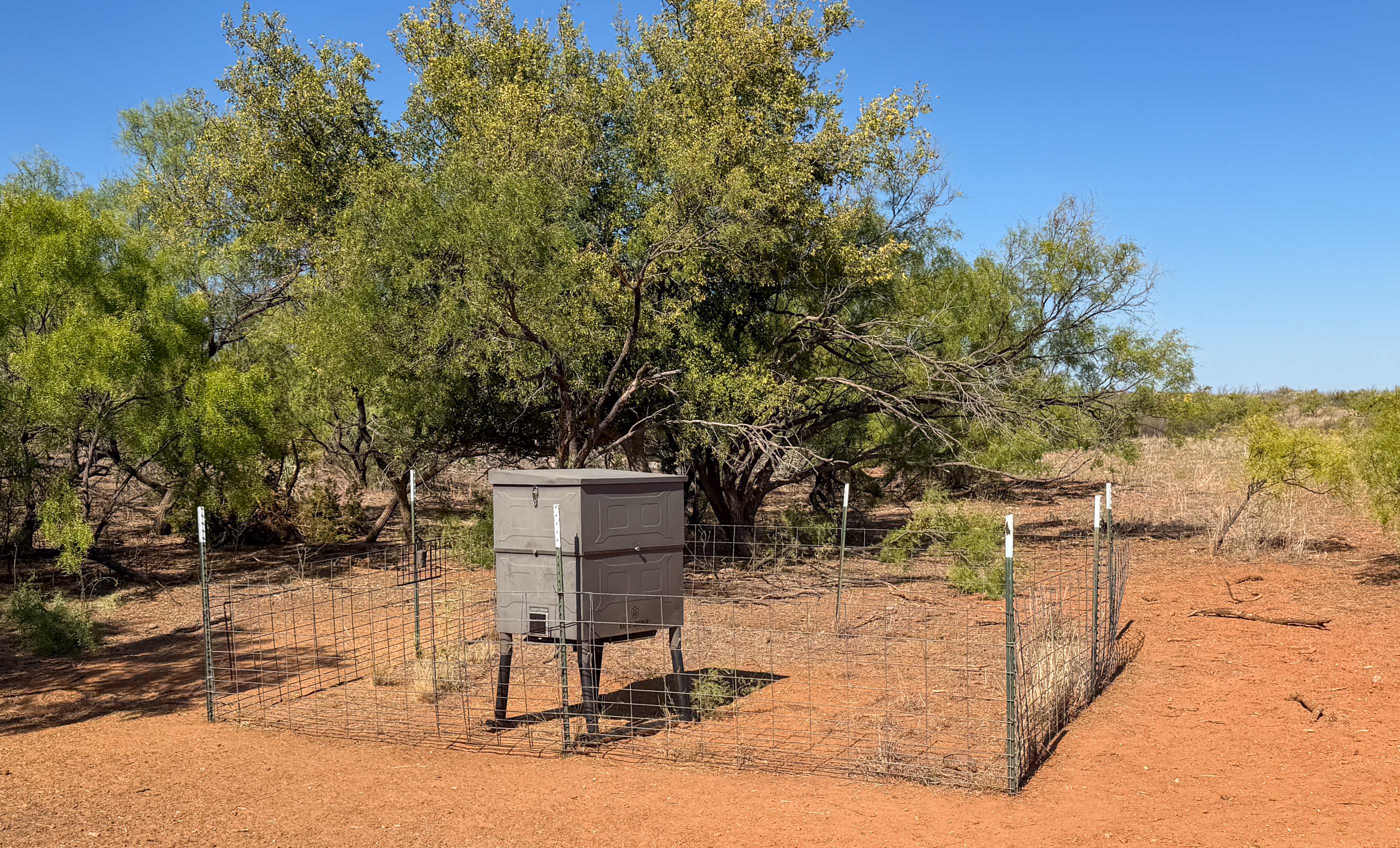 Young Family Ranch property photograph 10