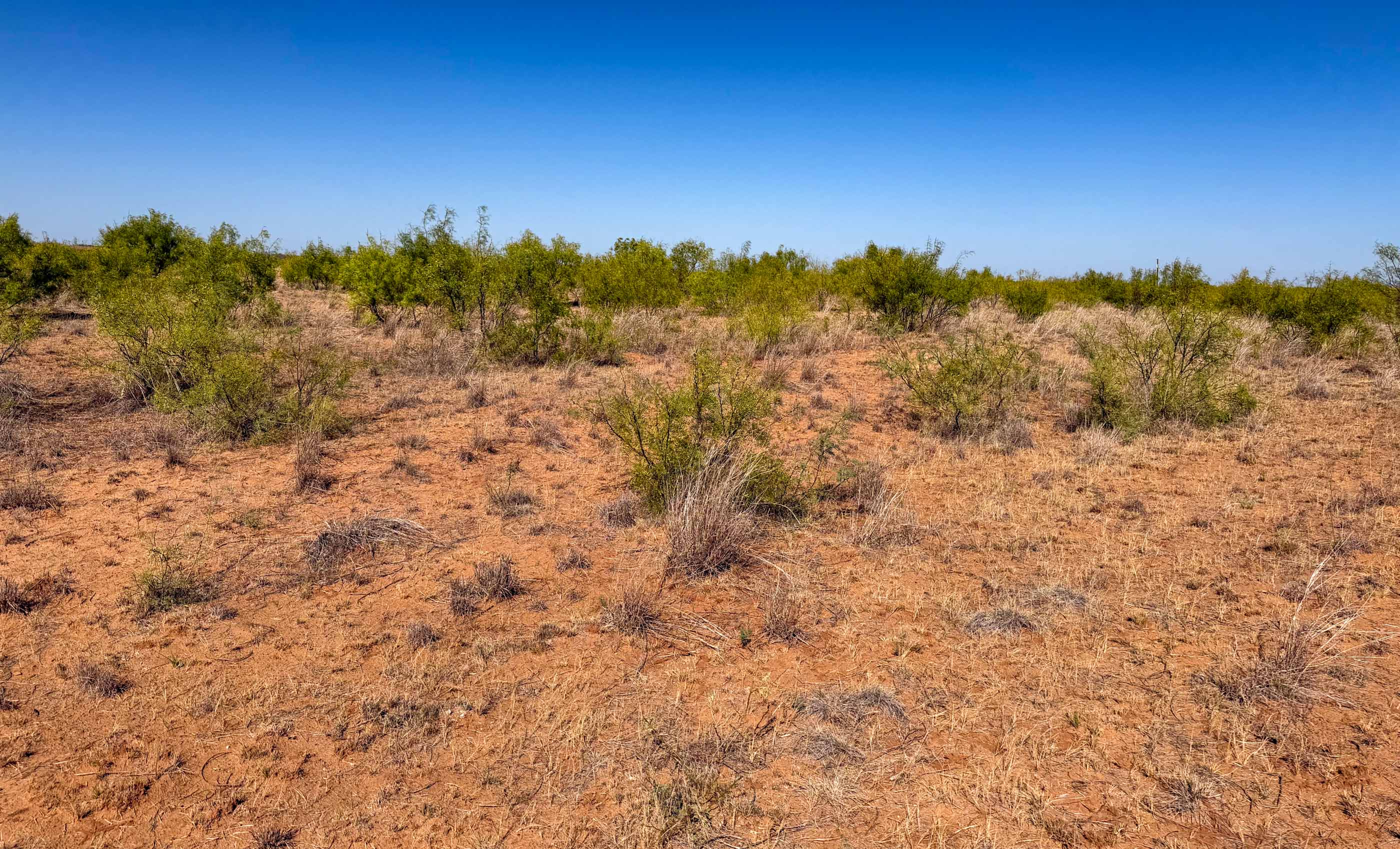 Young Family Ranch property photograph 15