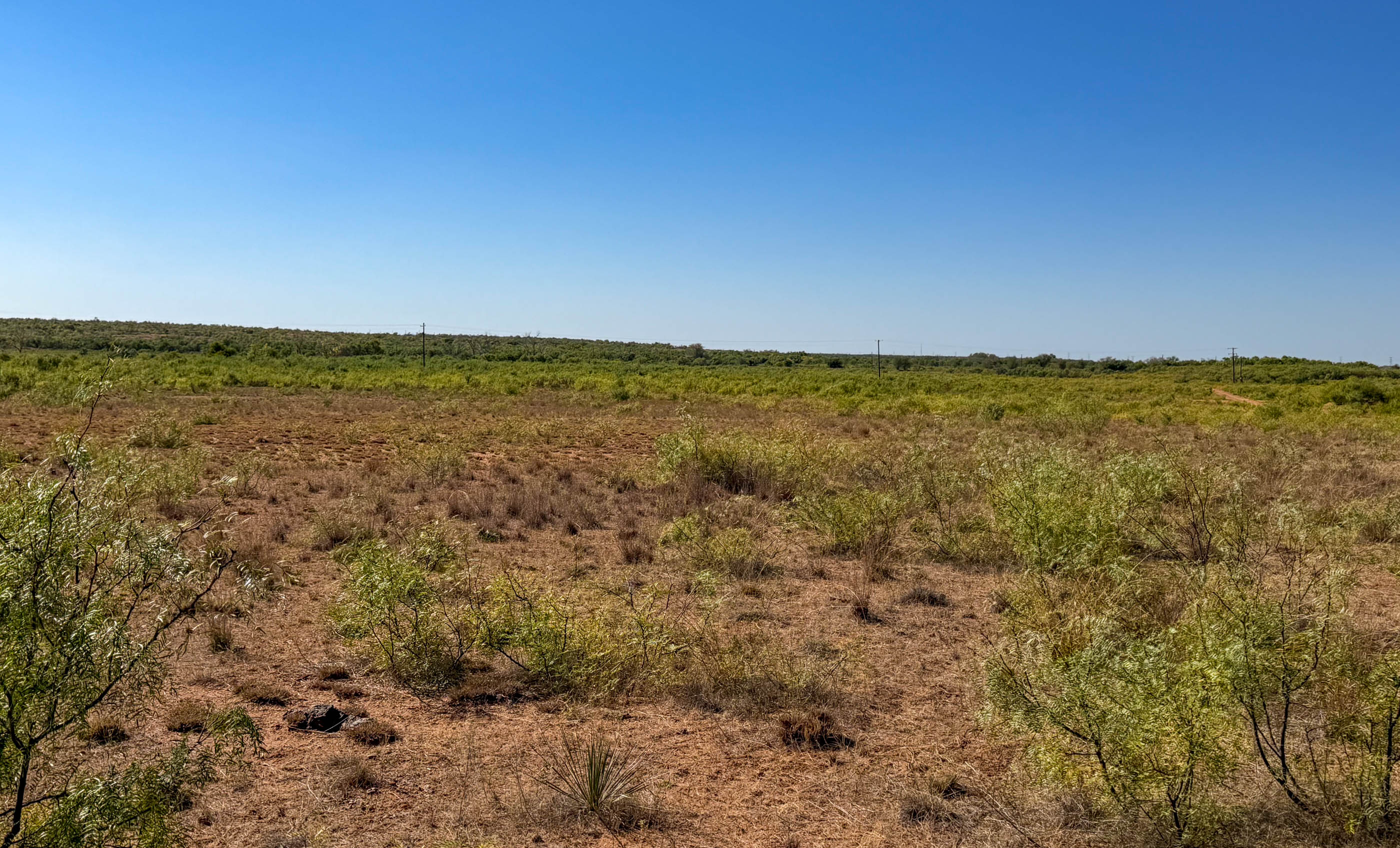 Young Family Ranch property photograph 3