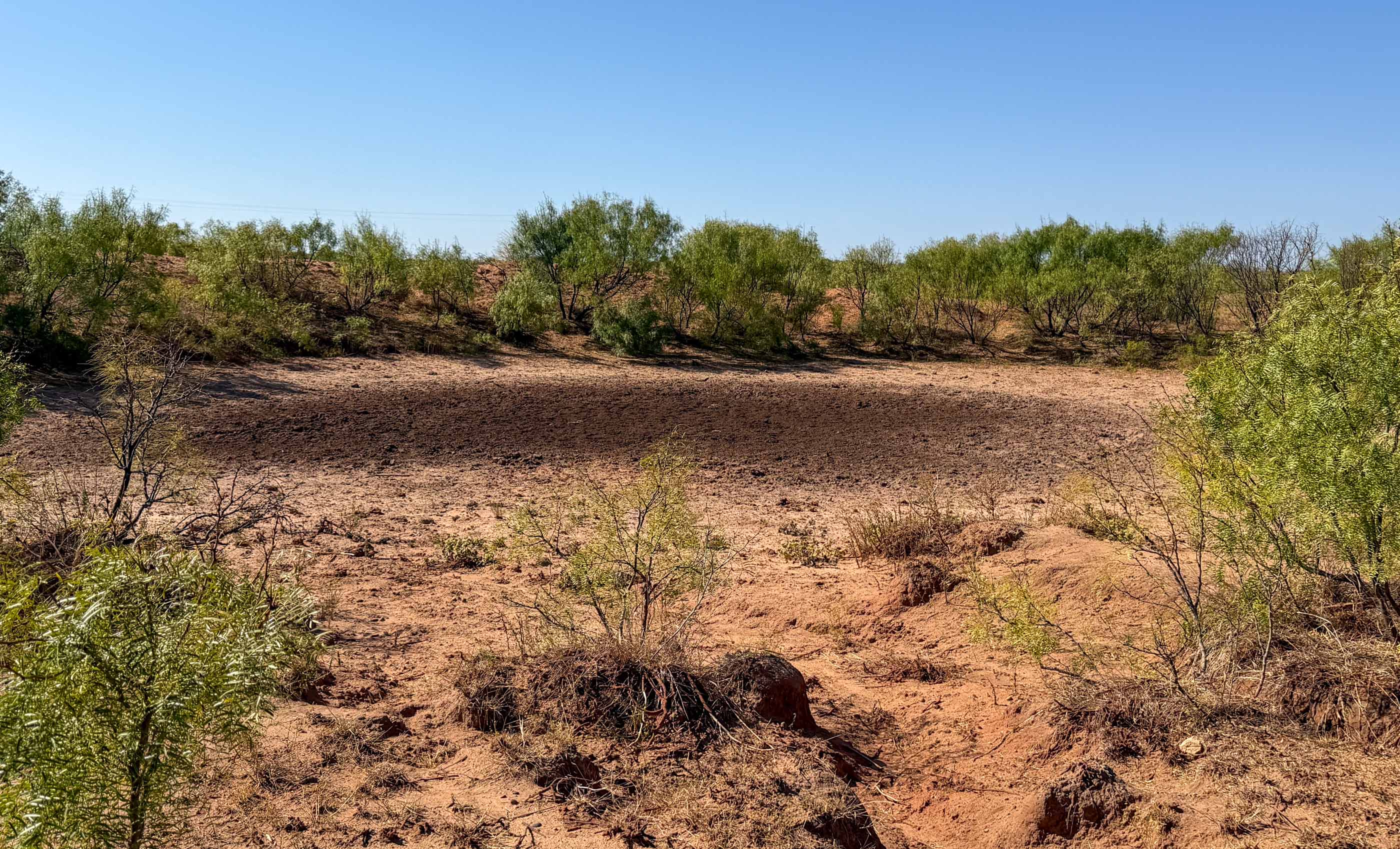 Young Family Ranch property photograph 8