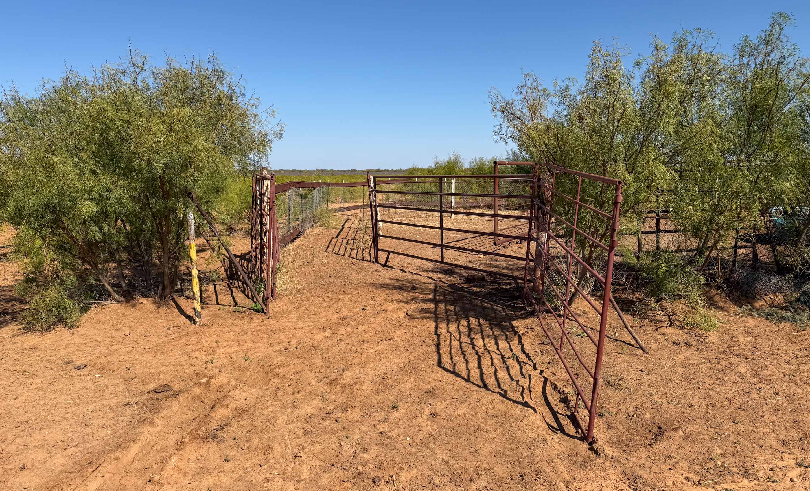 Young Family Ranch property photograph 18