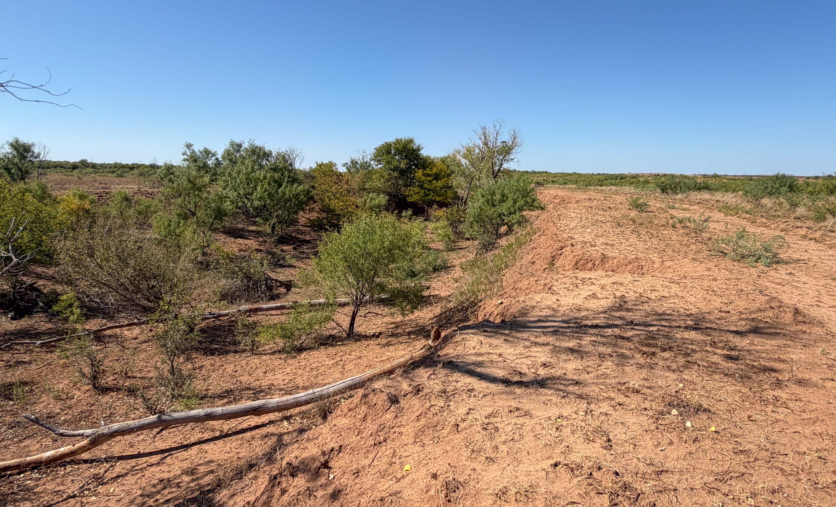 Young Family Ranch property photograph 16