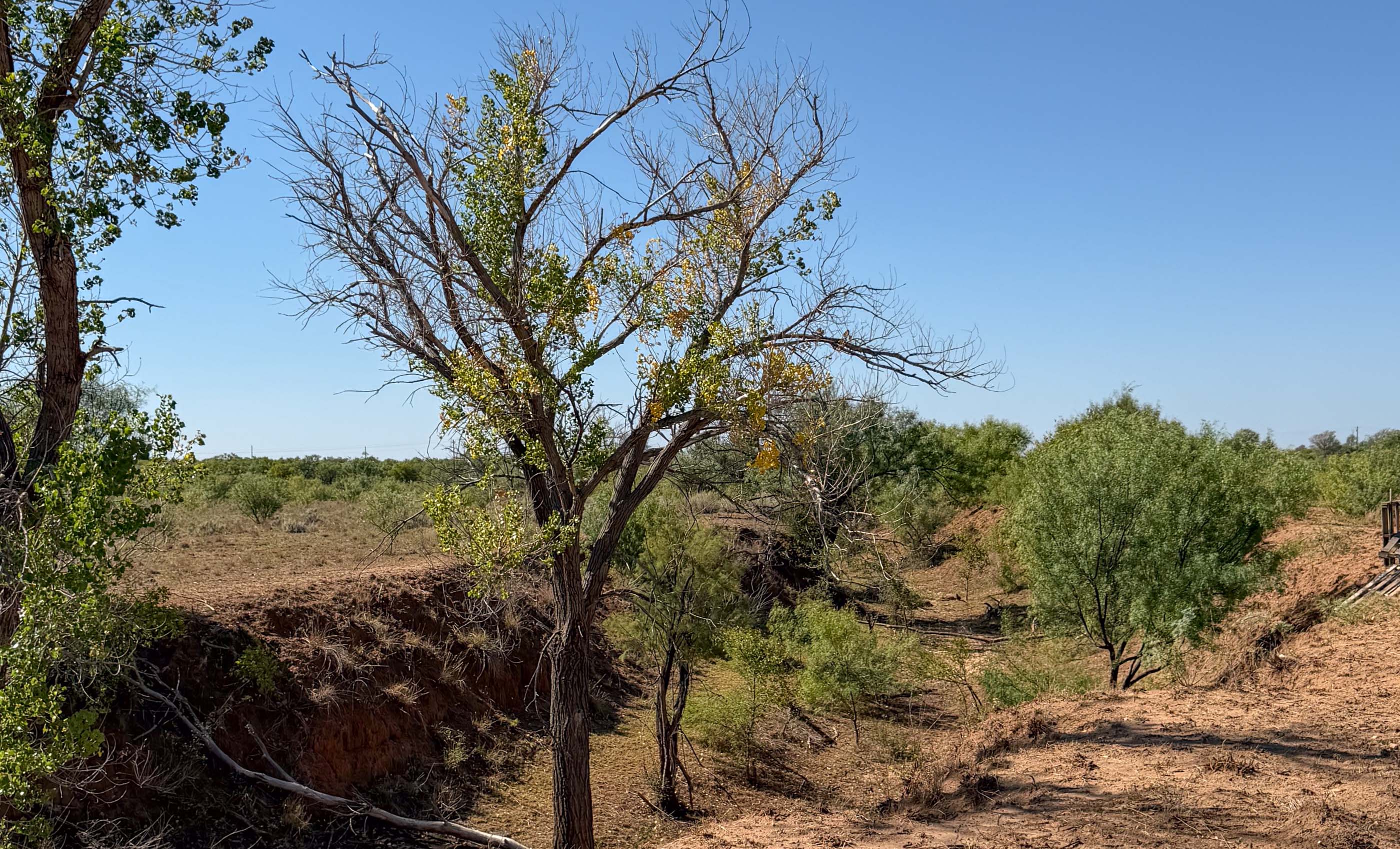 Young Family Ranch property photograph 4