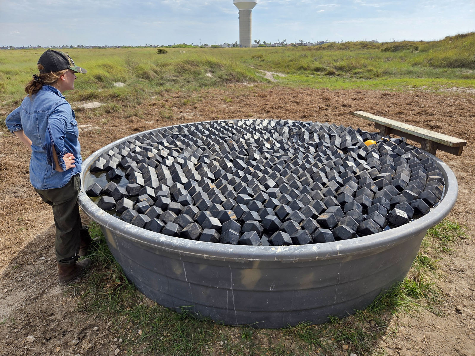Person inspecting a livestock water tank covered with VaporLok Rhombo shade balls