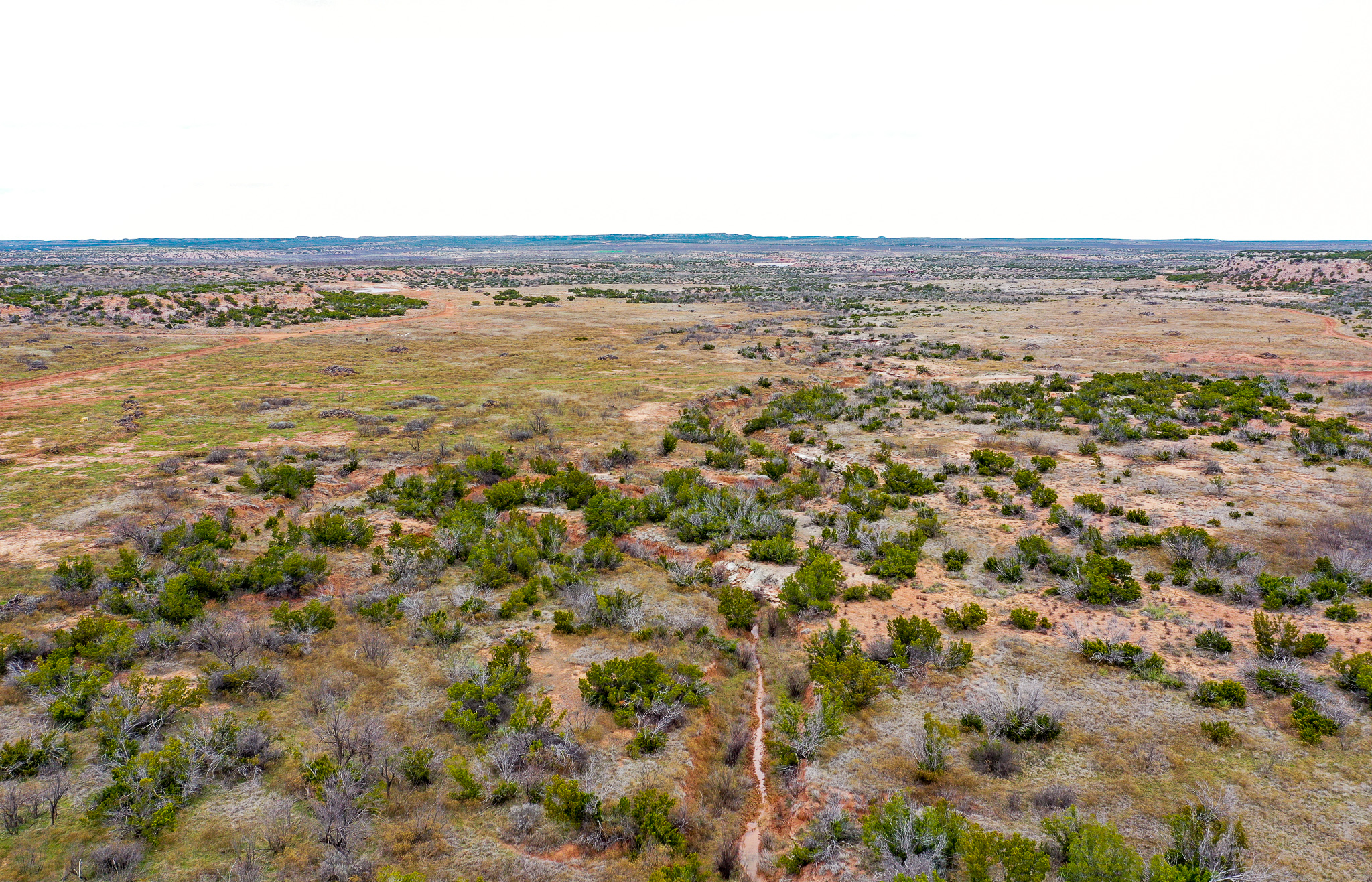 Land in Texas