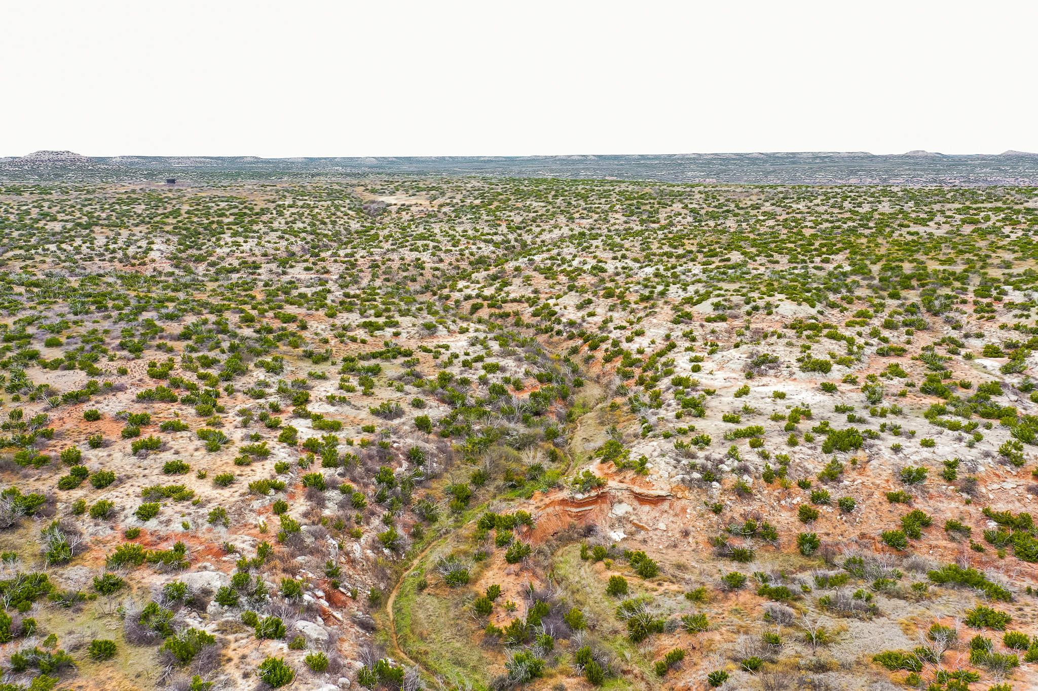 Creek at Rancho Dos Arroyos