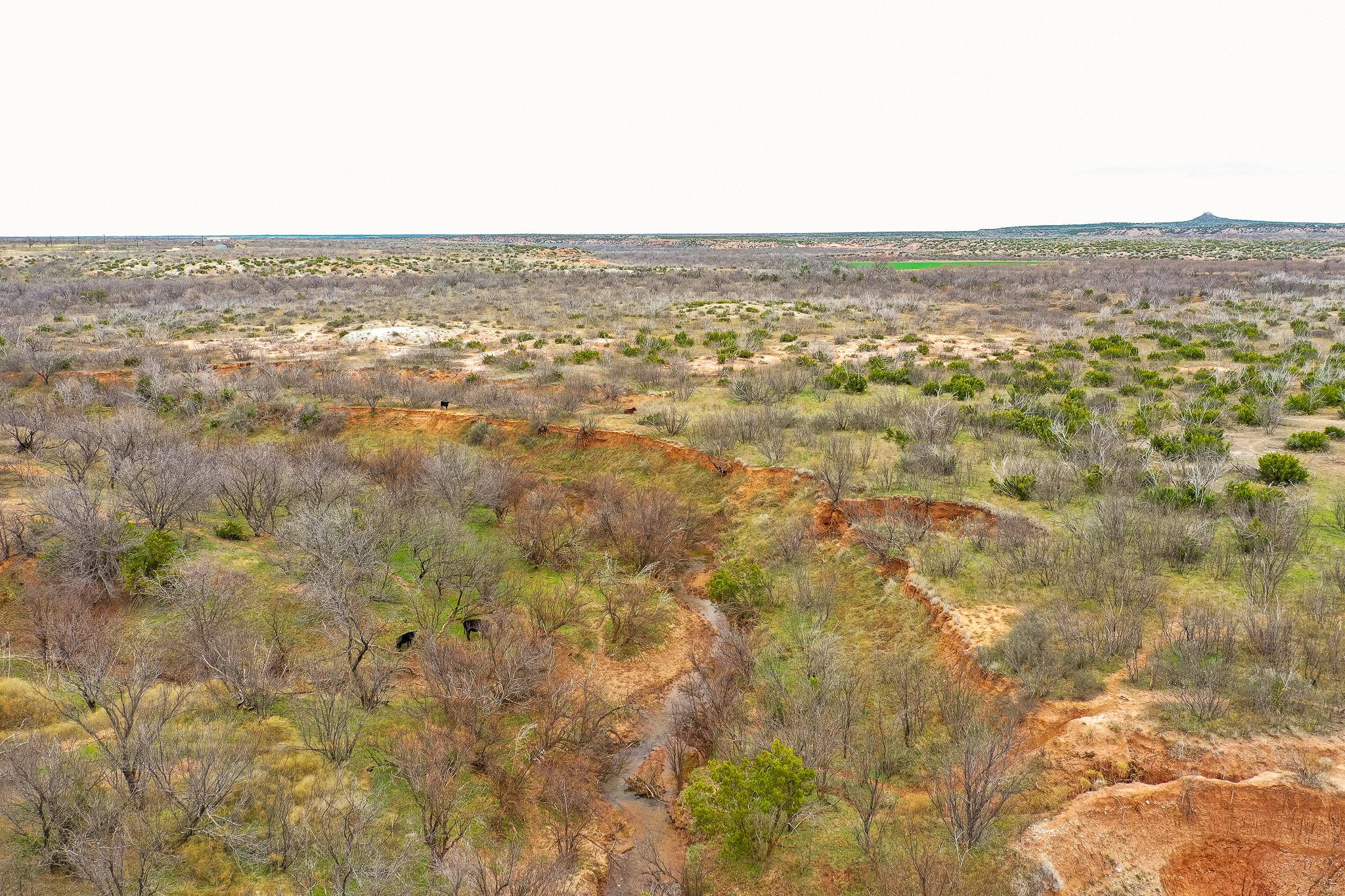 rancho dos arroyos