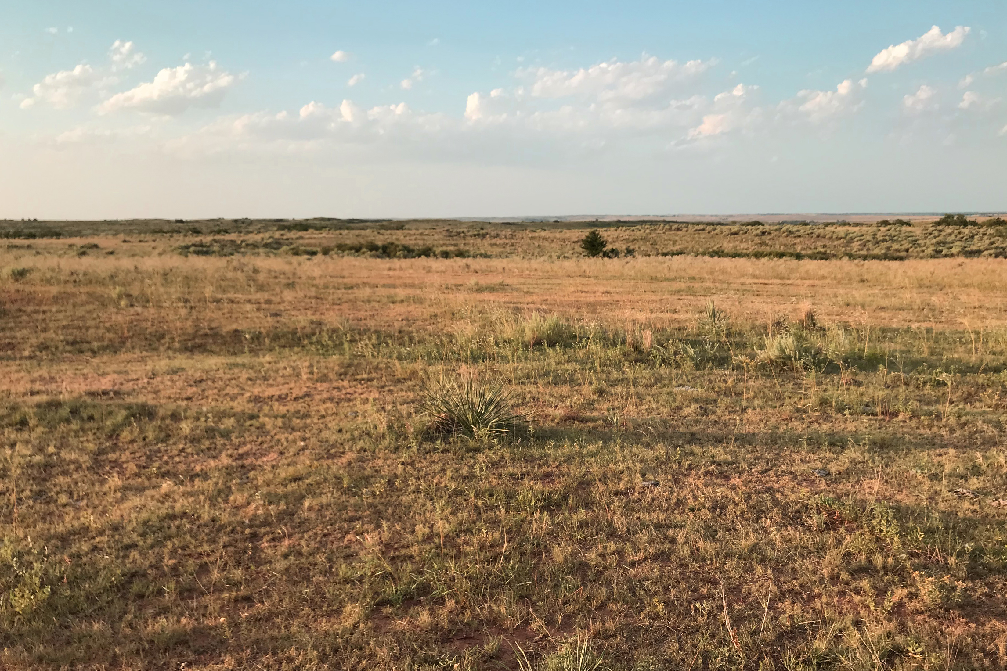 pasture photo