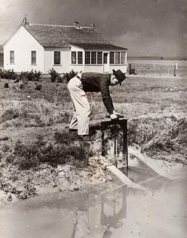 Flood Irrigation 1935
