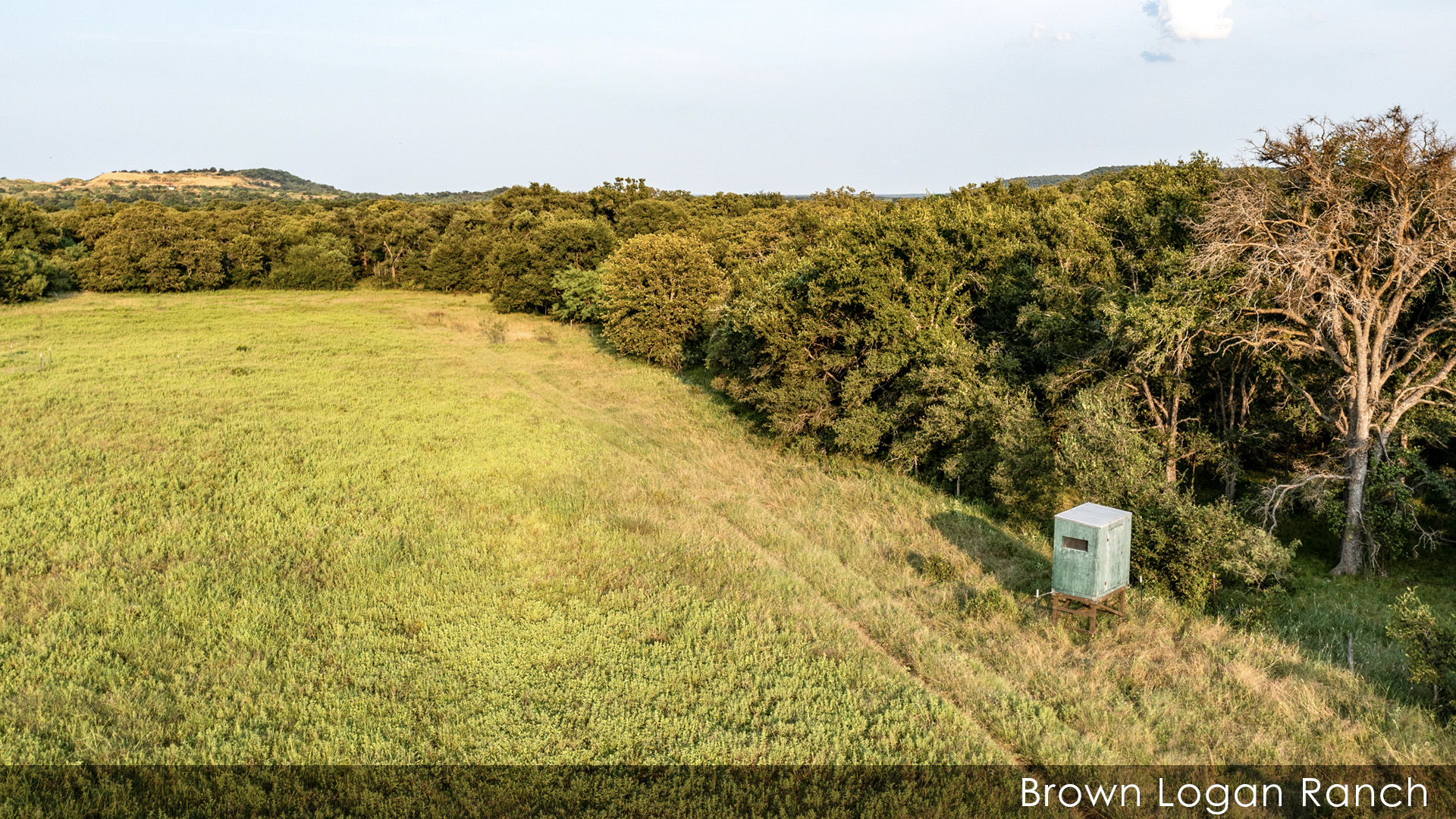 Hunting Blind • Brown Logan Ranch