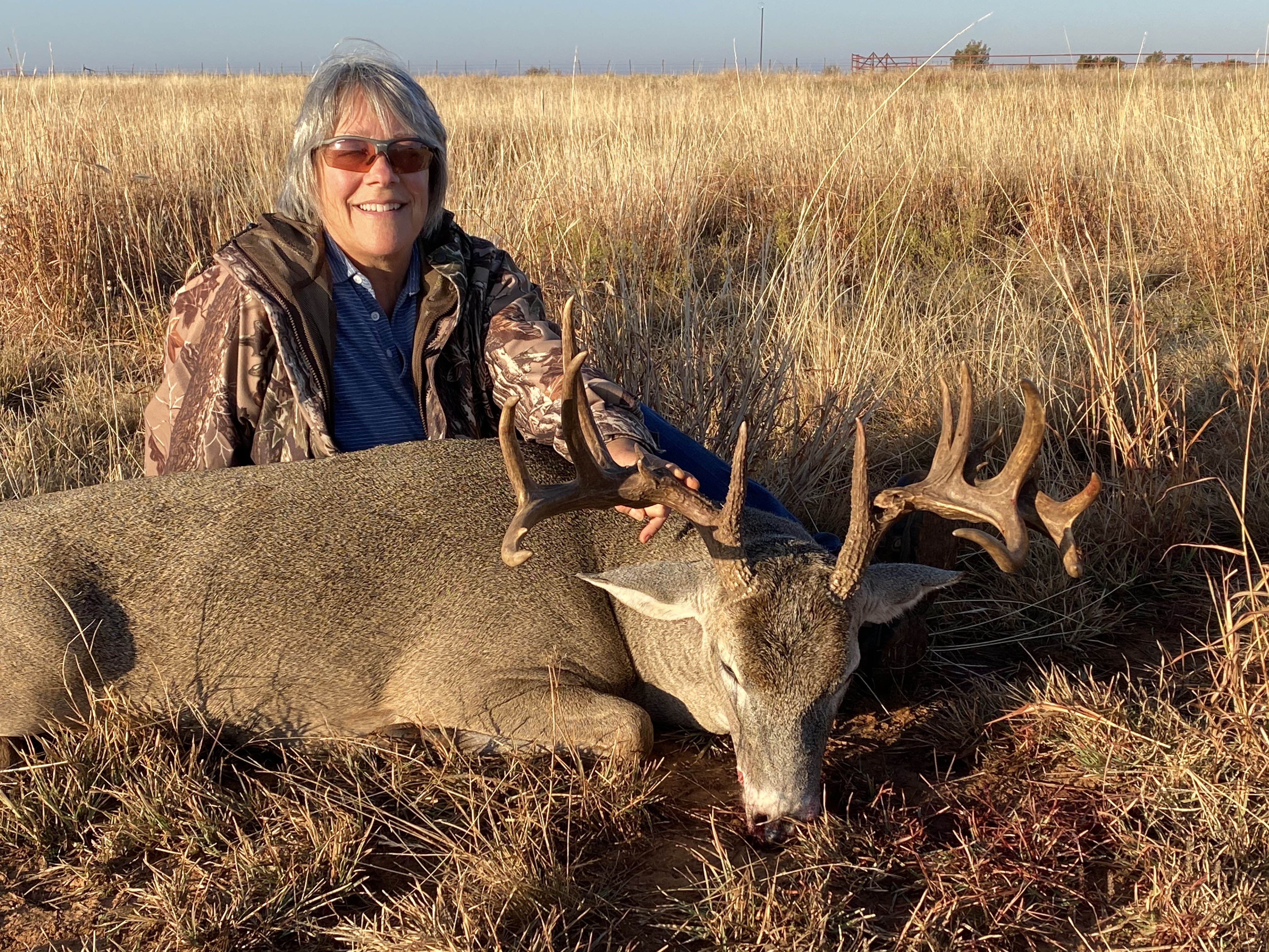 whitetail deer on texas ranch