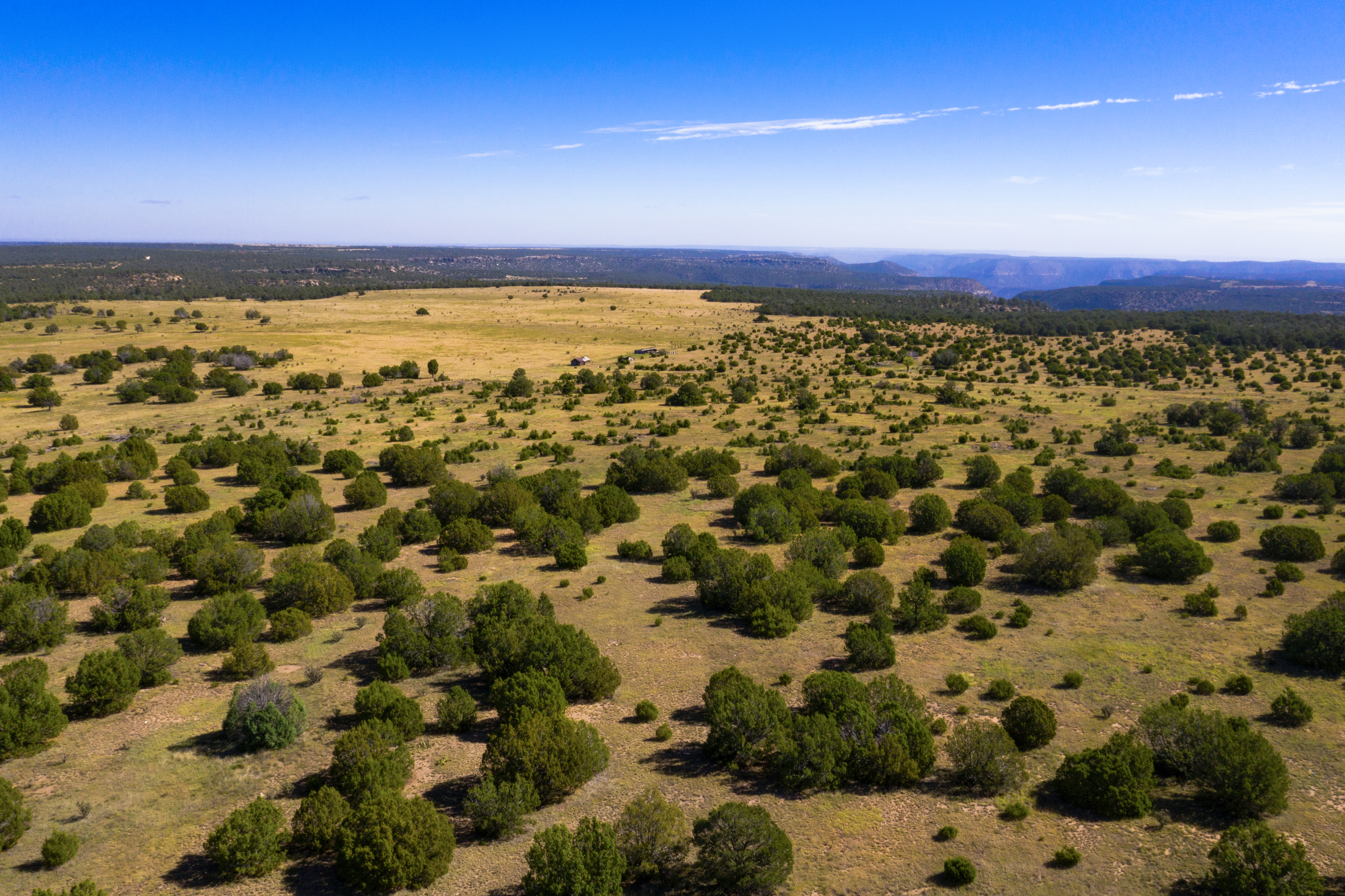 a ranch in new mexico