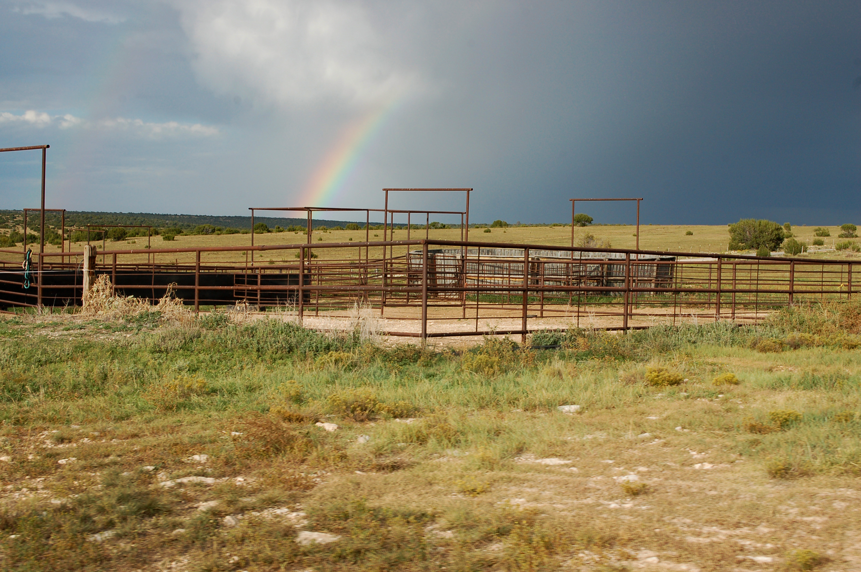 fence