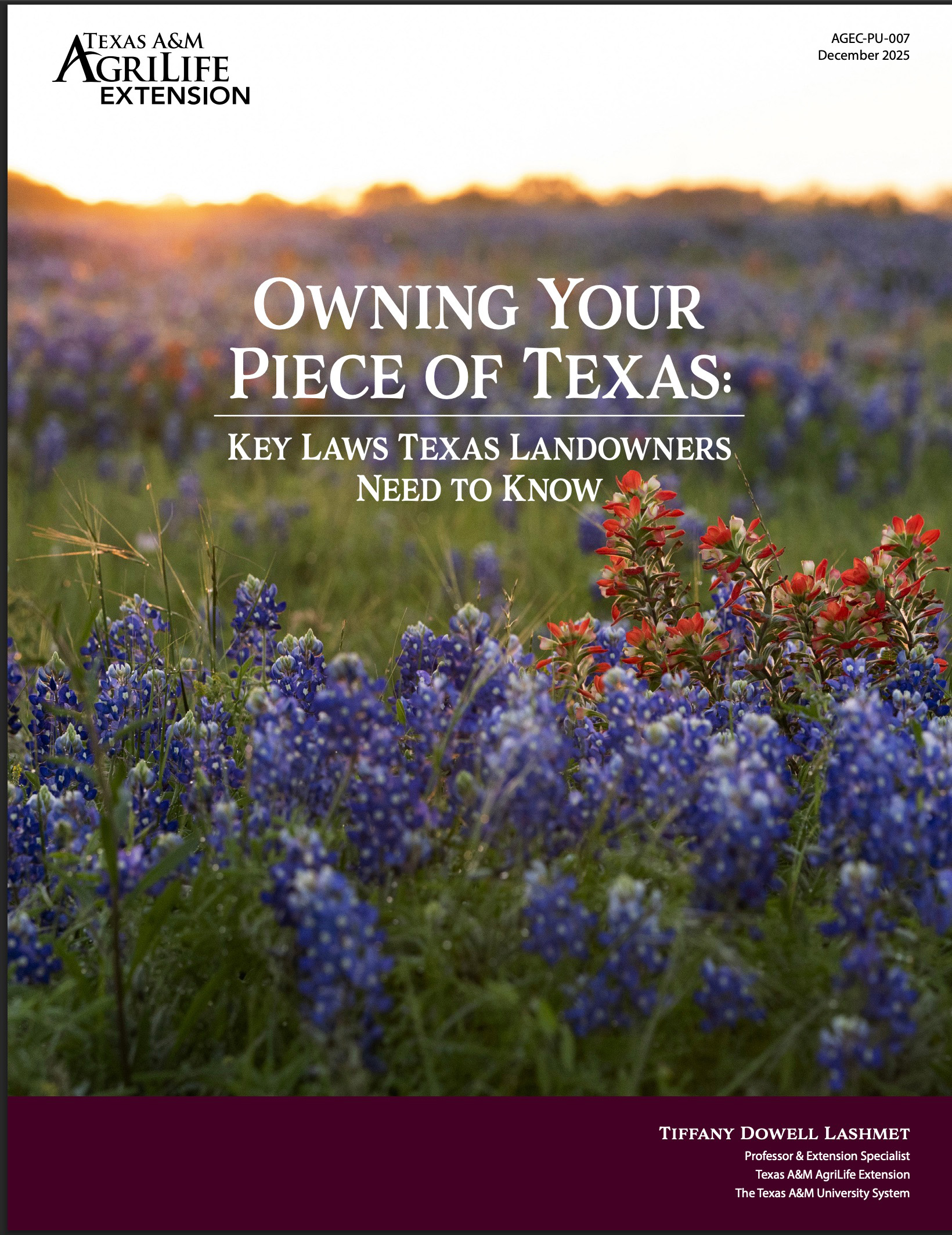Owning your piece of Texas 