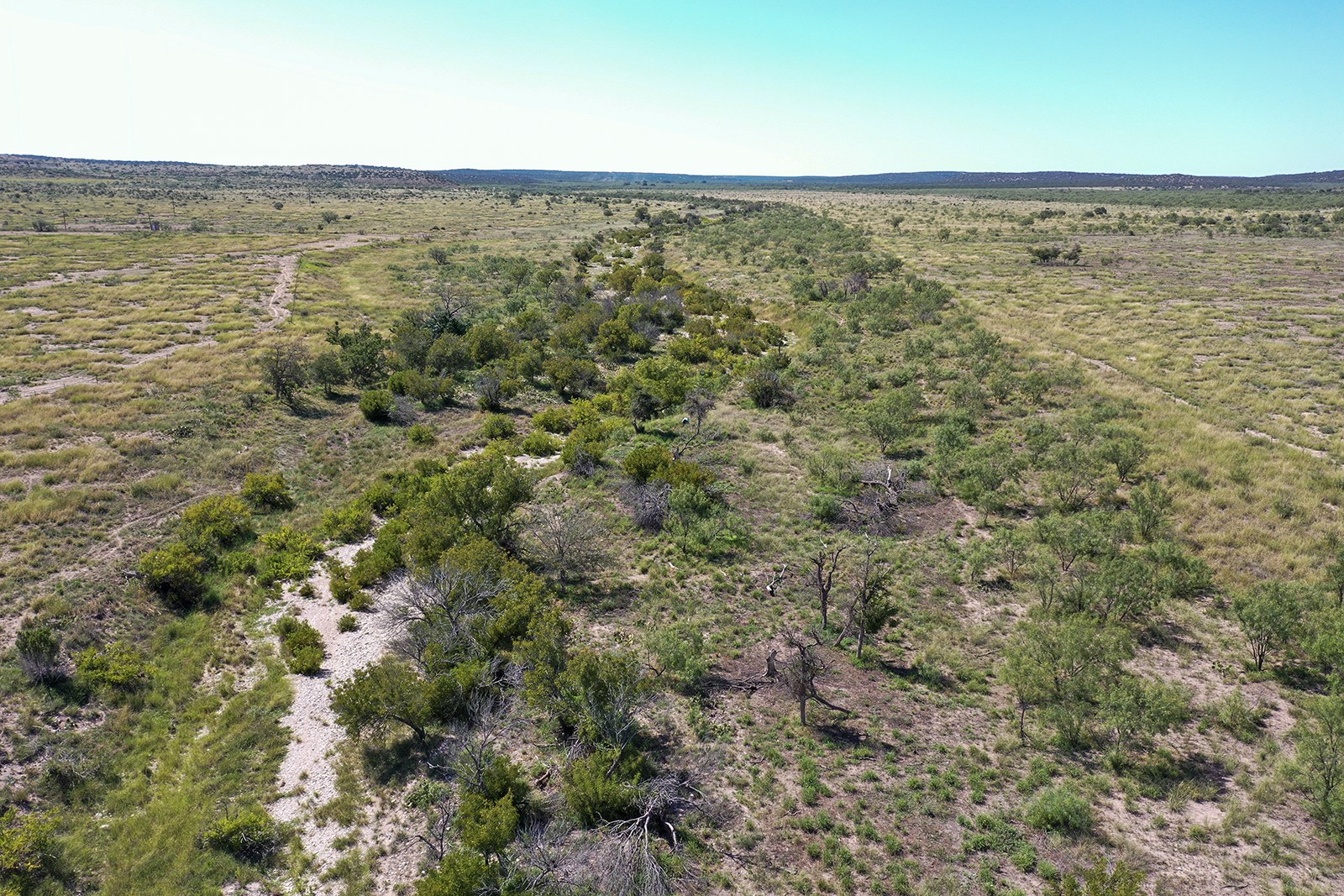 Aerial view of the wooded Dry Creek corridor and surrounding pasture at Schlinke Dry Creek Ranch