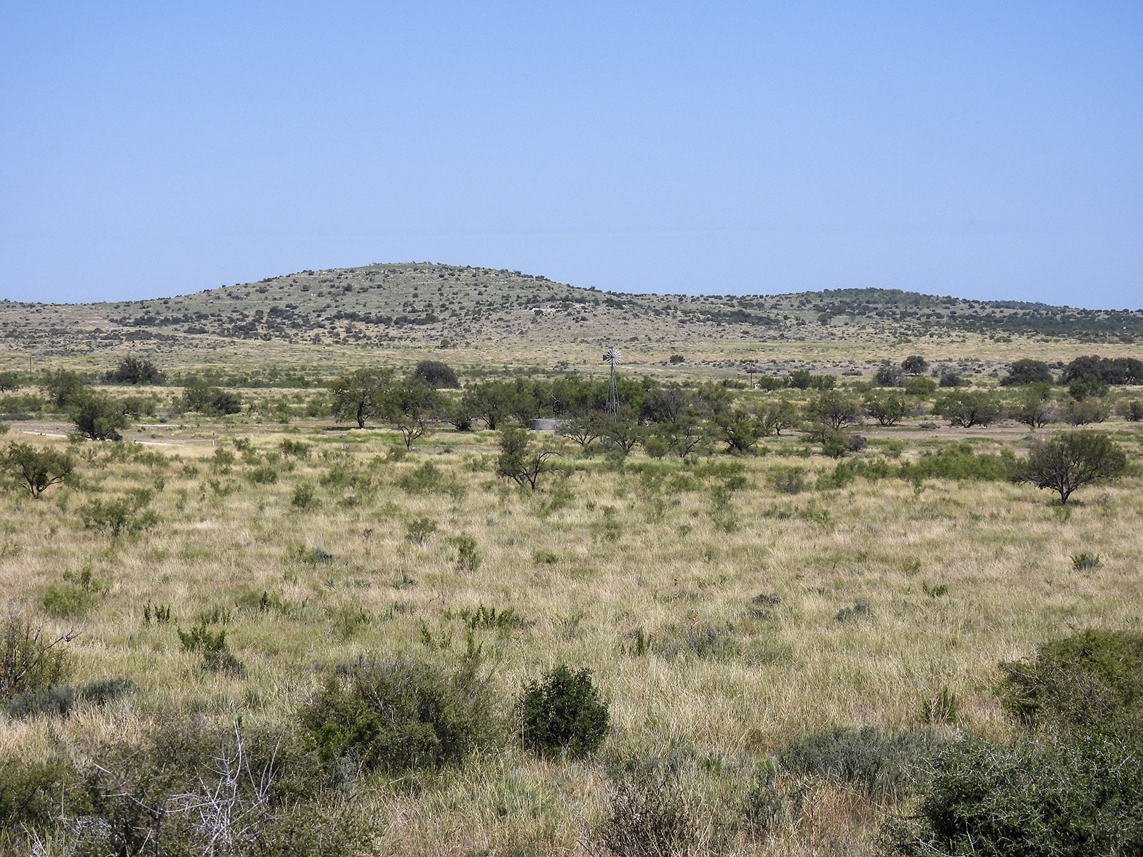 Native pasture, rolling hills, and a windmill at Schlinke Dry Creek Ranch in Irion County, Texas
