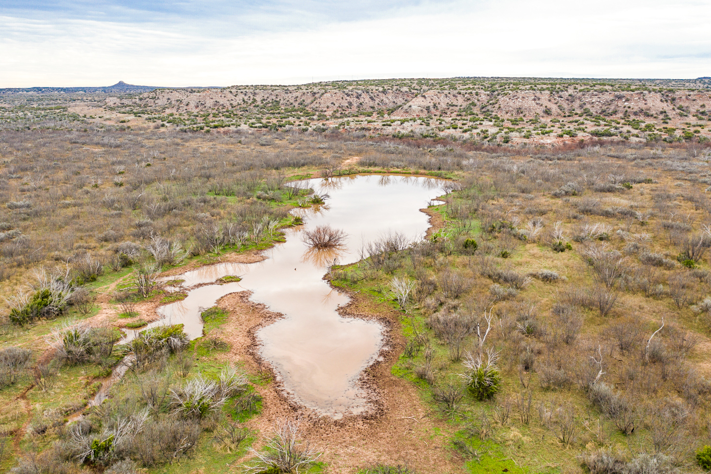 pond at Rancho Dos Arroyos