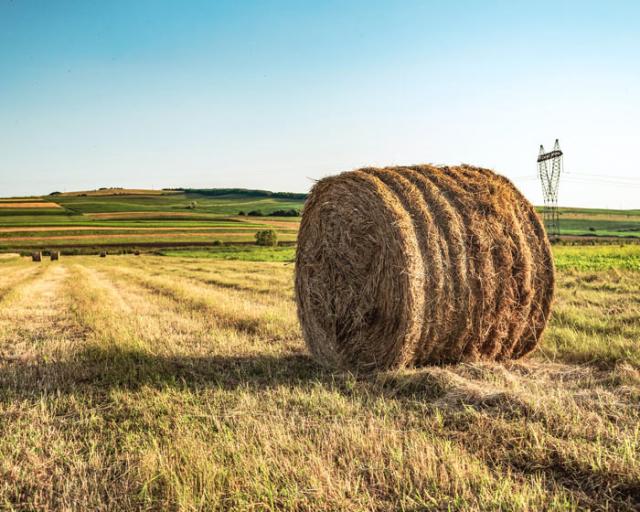 Farms for Sale - Chas S. Middleton & Son