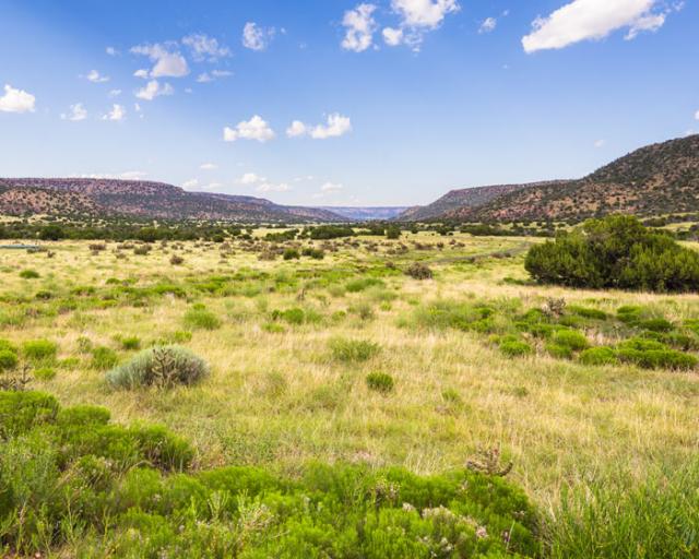 Ranches for Sale - Chas S. Middleton & Son