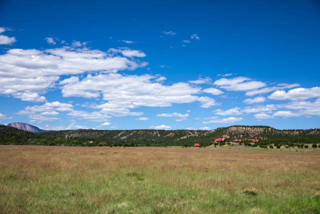 land in New Mexico