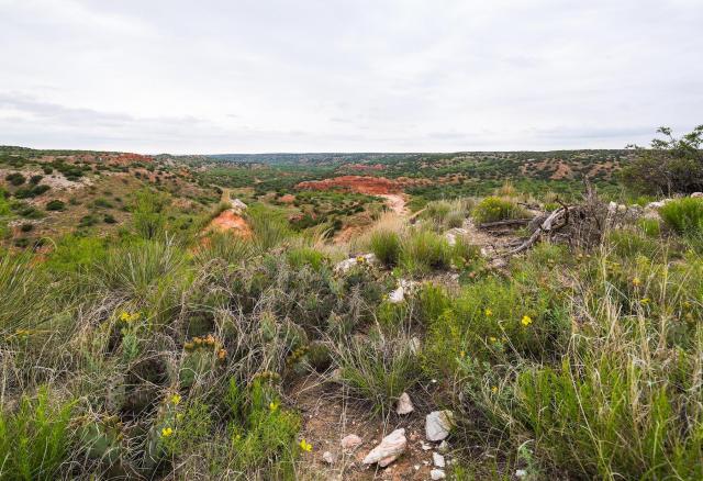 Palo Duro Ranch