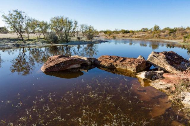 Swenson Family Flat Top Ranch