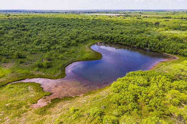 Snyder Family - Cutbirth