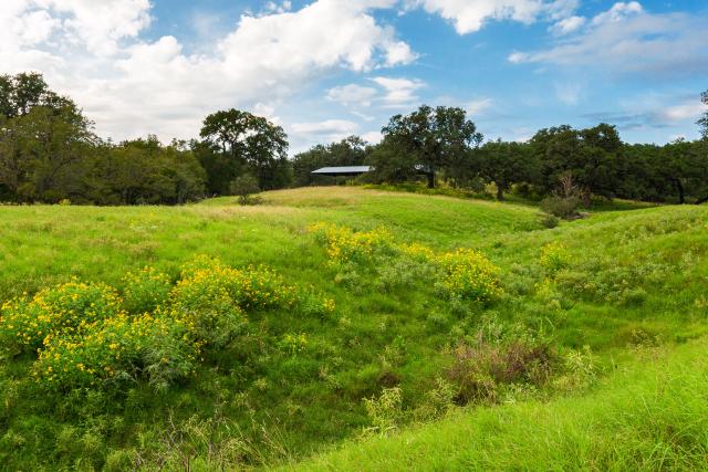 Texas Ranch - Rolling terrain
