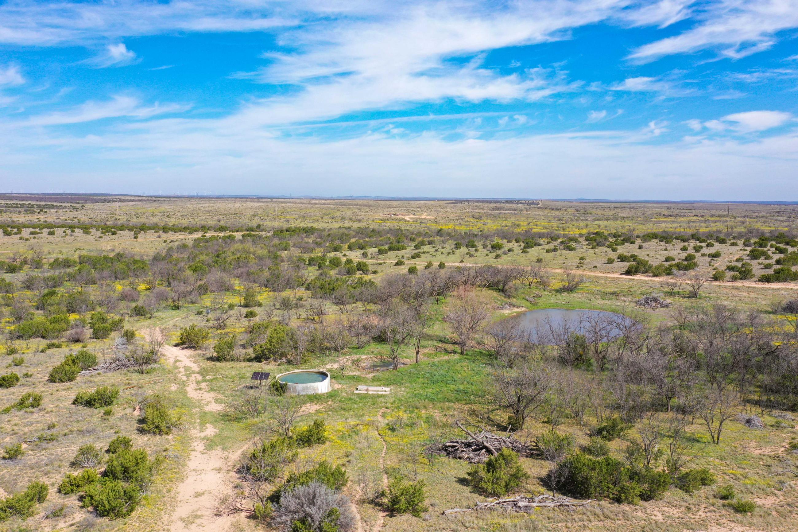 Double RR Patterson Ranch Chas S. Middleton