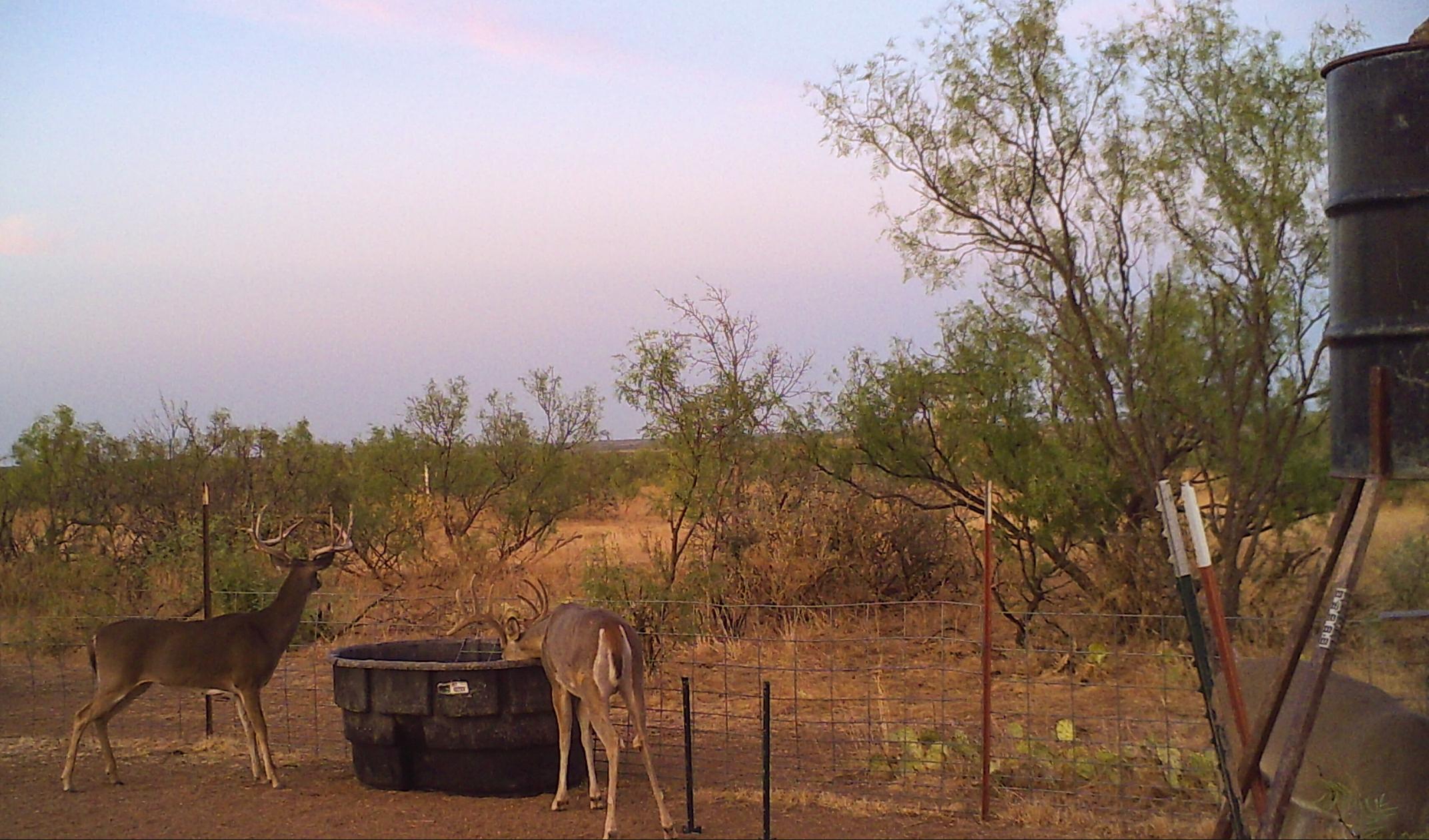 Walker Ranch Chas S. Middleton