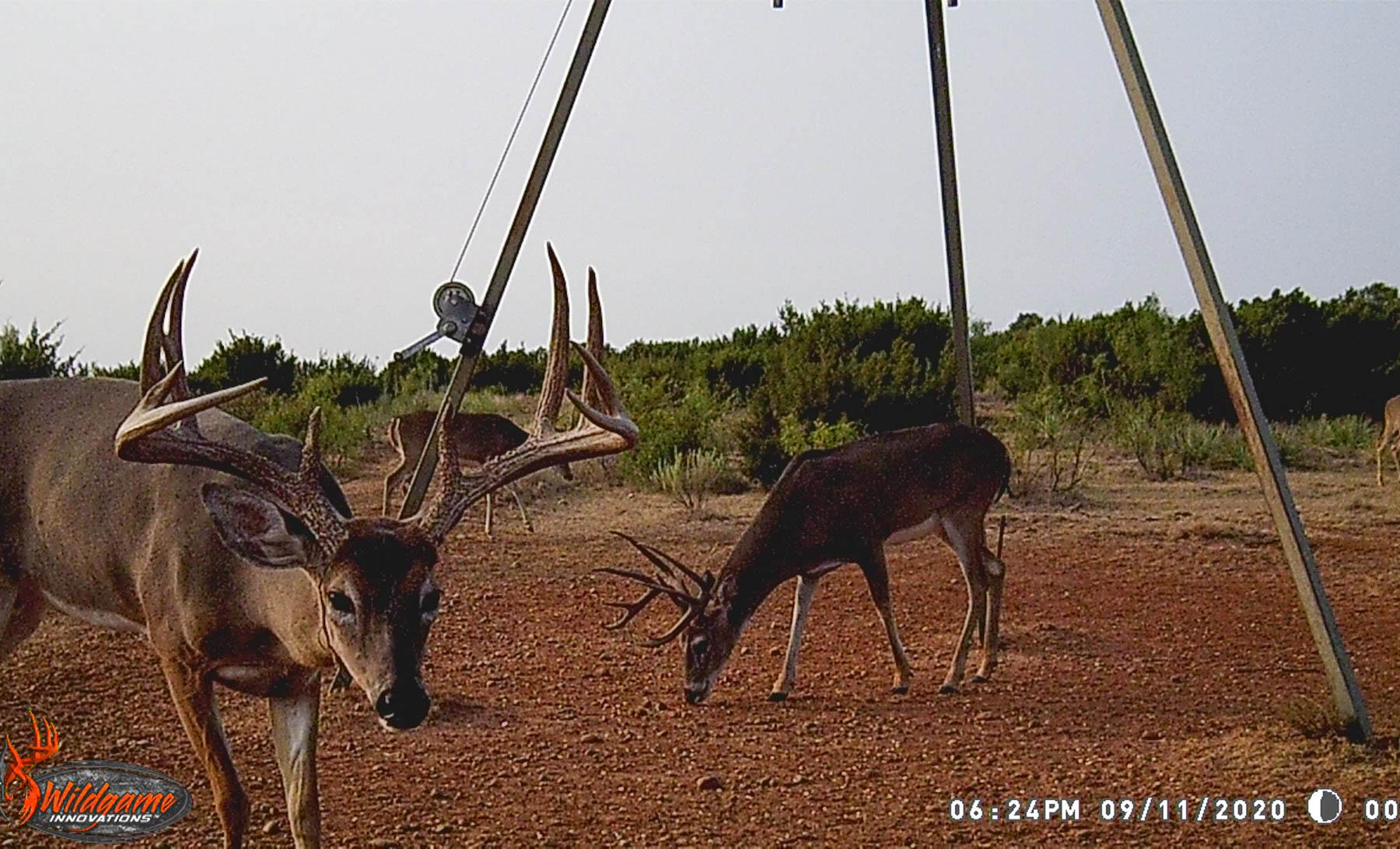 MATADOR, Texas