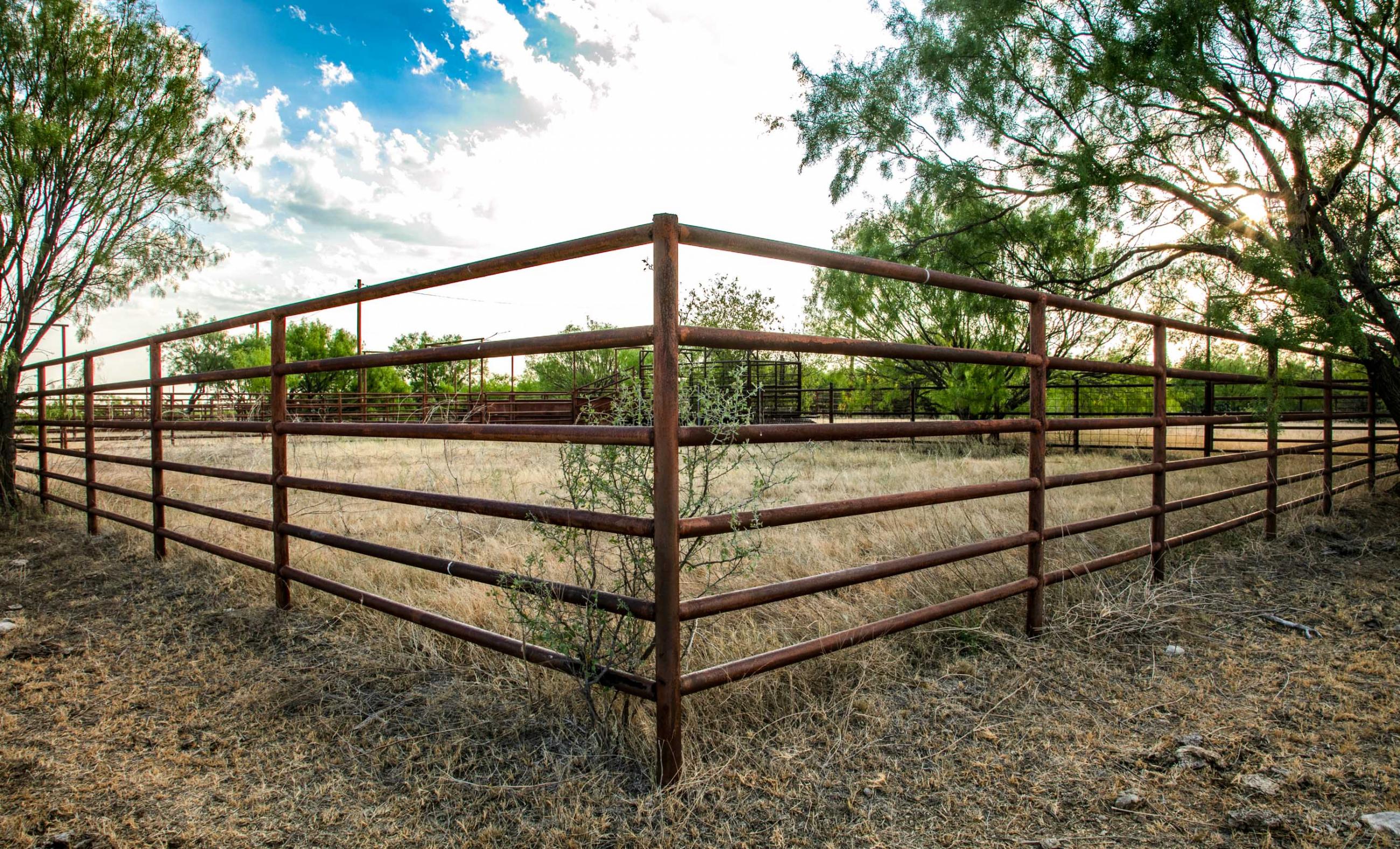 Crooked Tree Ranch by R.J. Scott