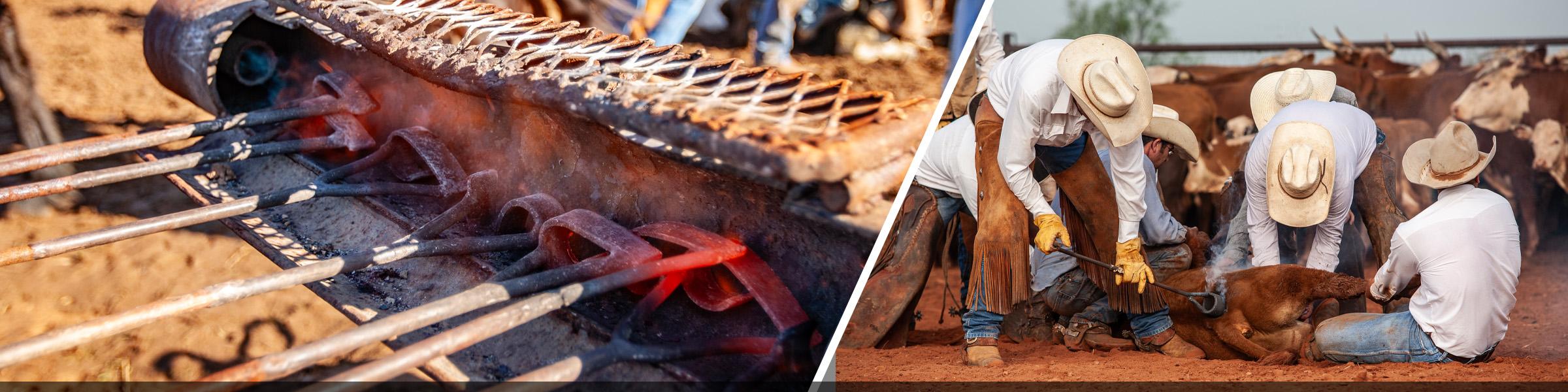 Branding Irons in heater