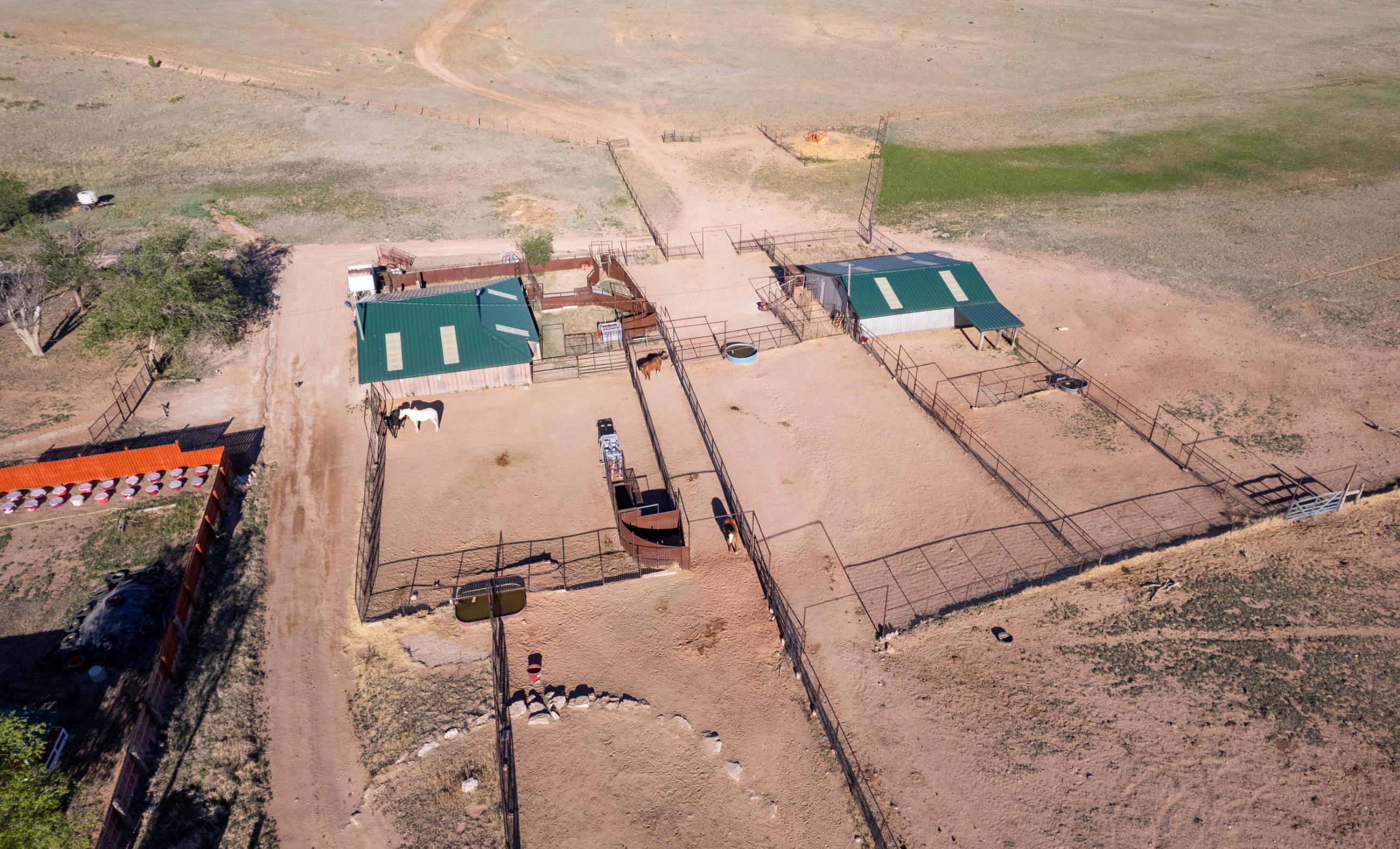 L6 Cattle Ranch | Chas S. Middleton
