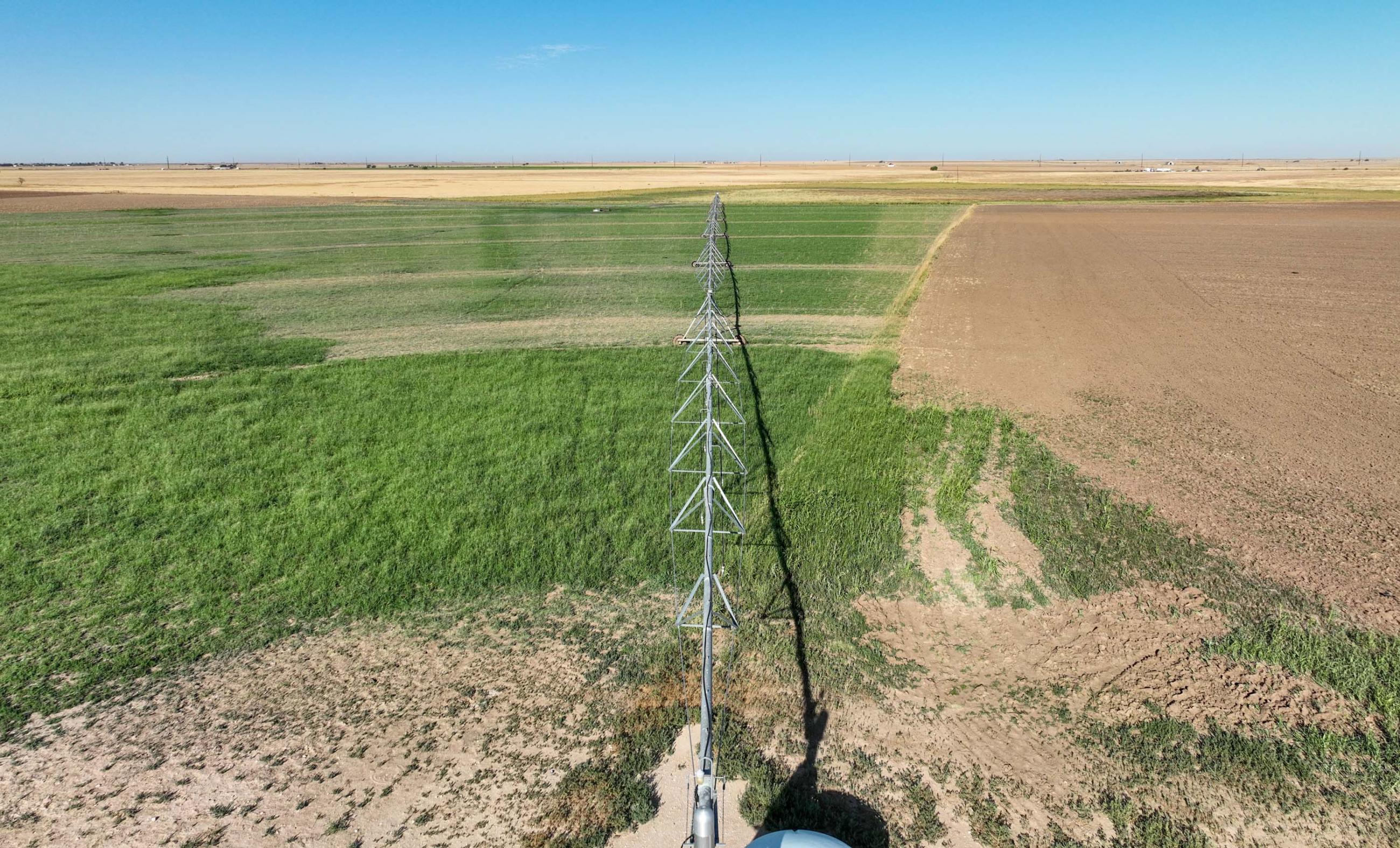 Swisher County Farm | Chas S. Middleton