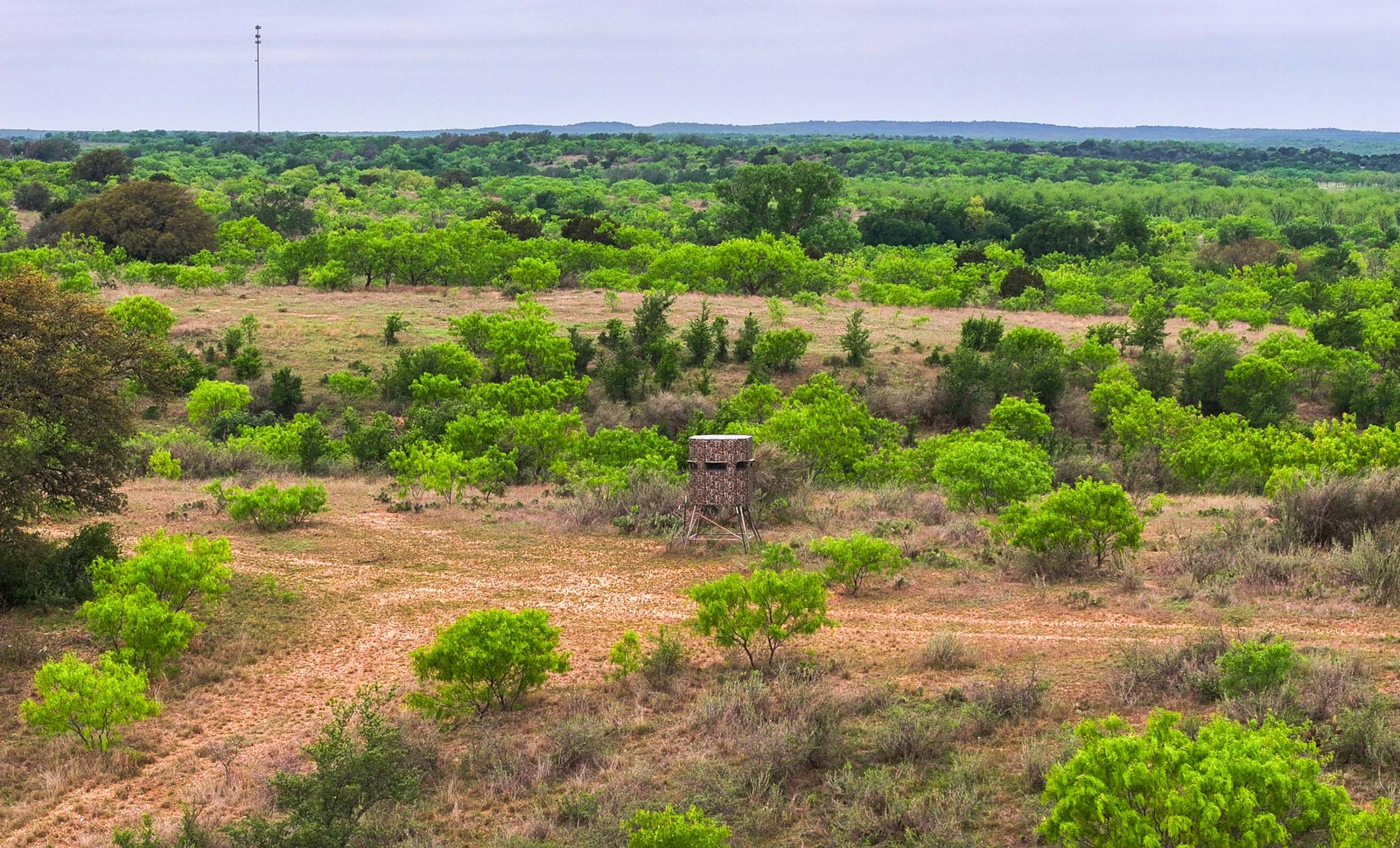 Big Valley Pecan Farm property photograph 36