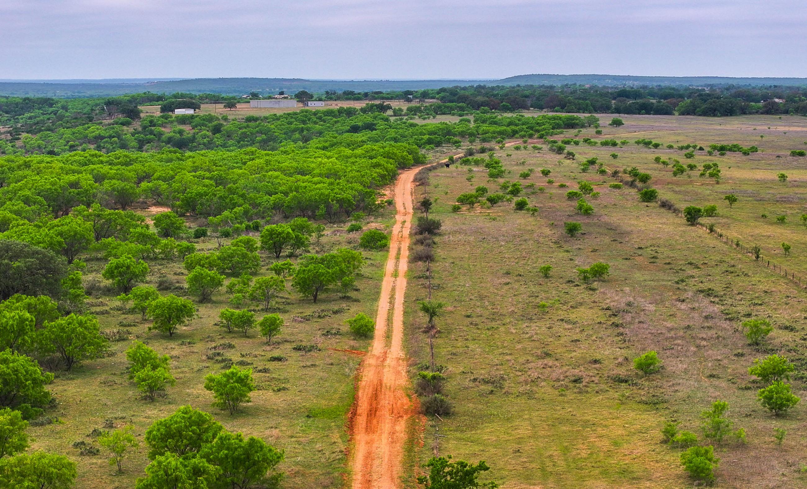 Big Valley Pecan Farm property photograph 19