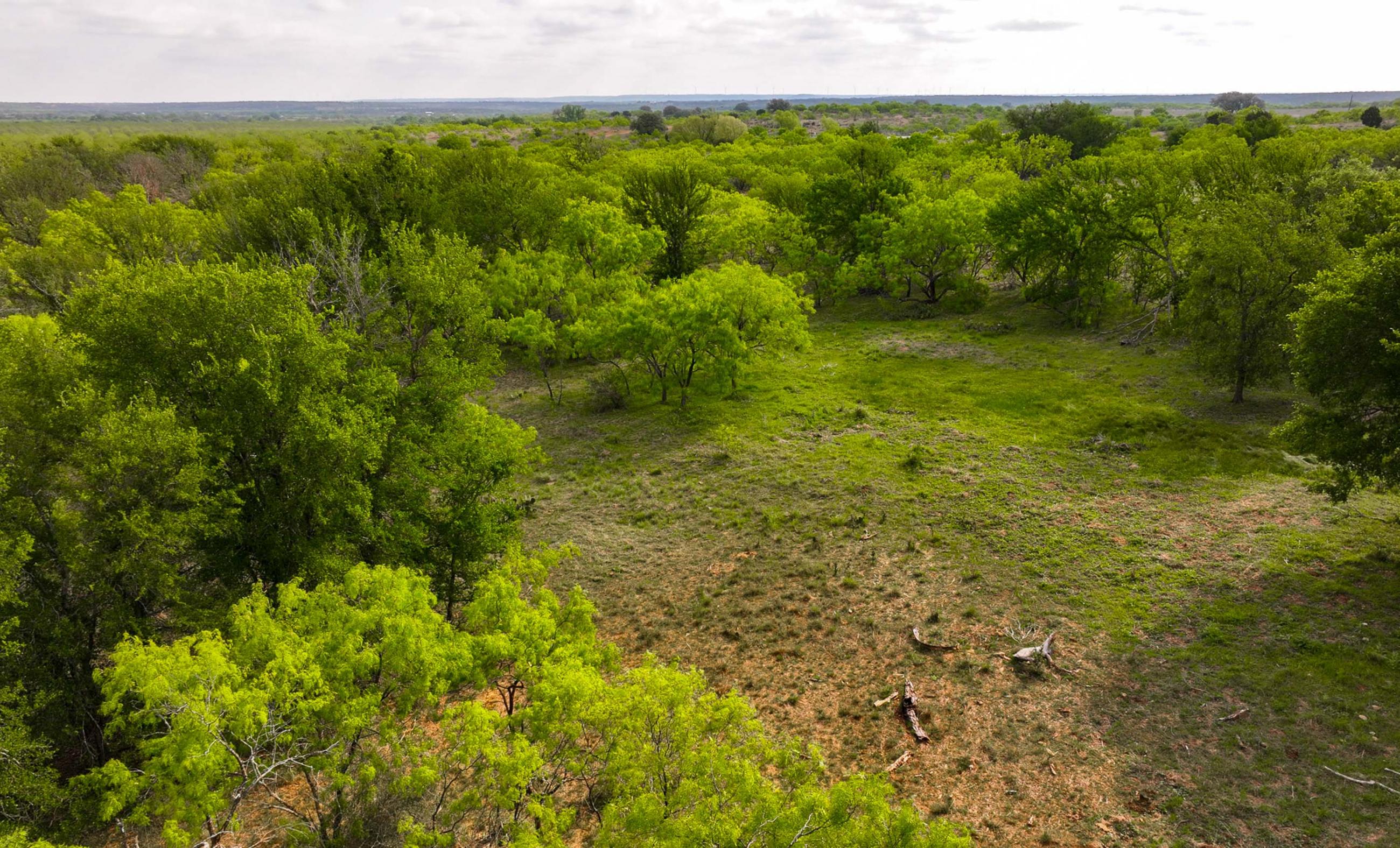 Big Valley Pecan Farm property photograph 24