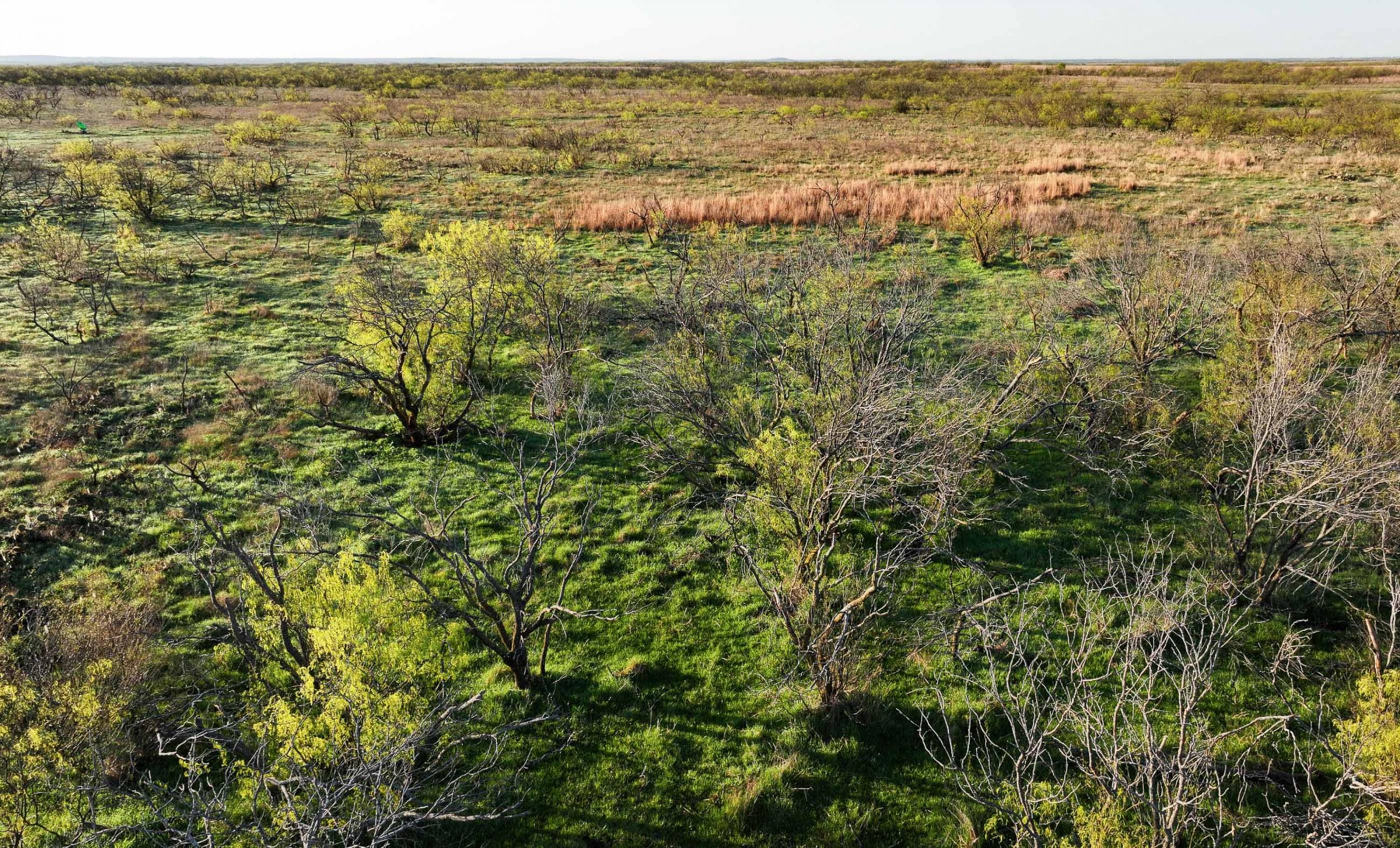 Springs Ranch | Chas S. Middleton