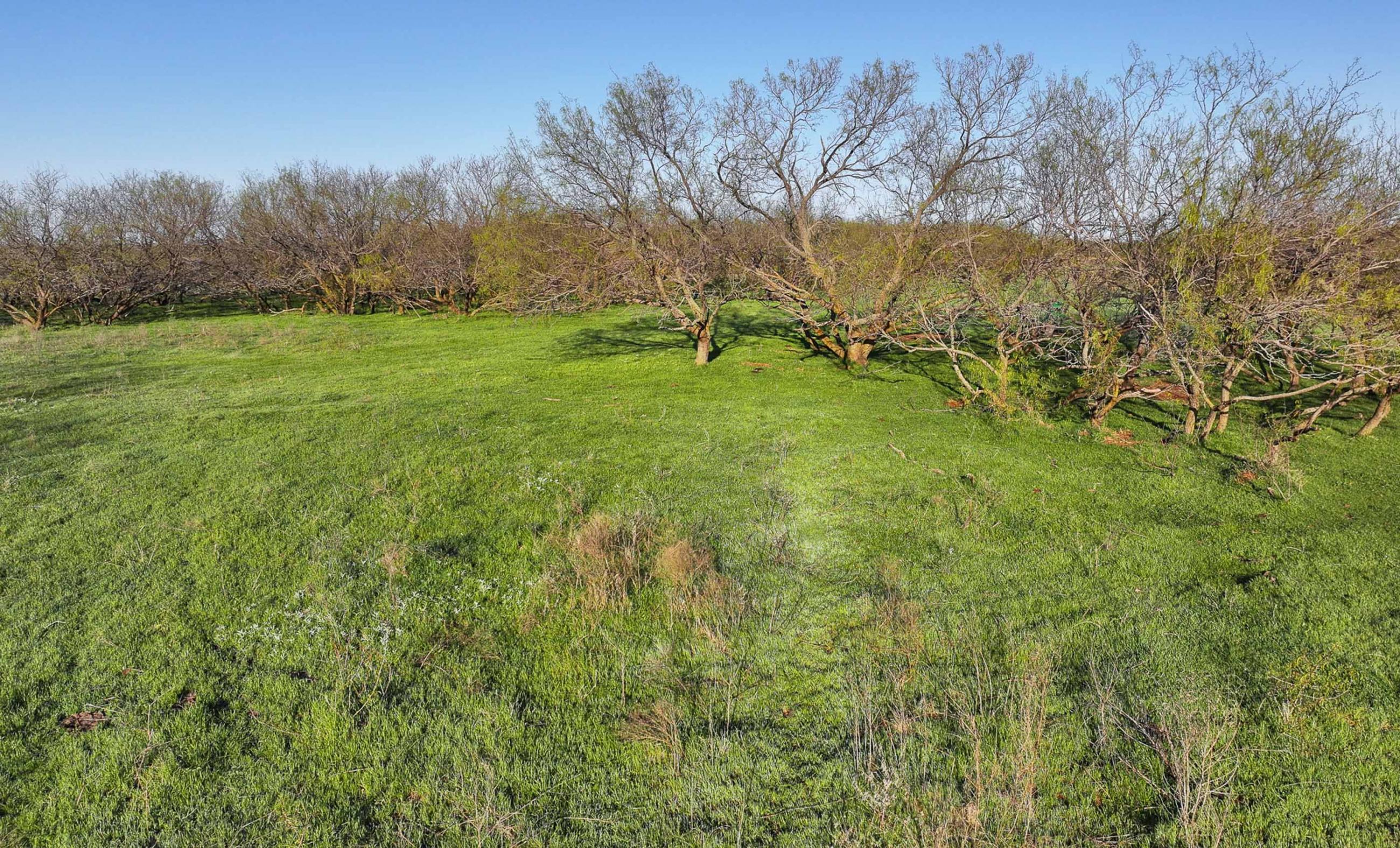 Springs Ranch | Chas S. Middleton