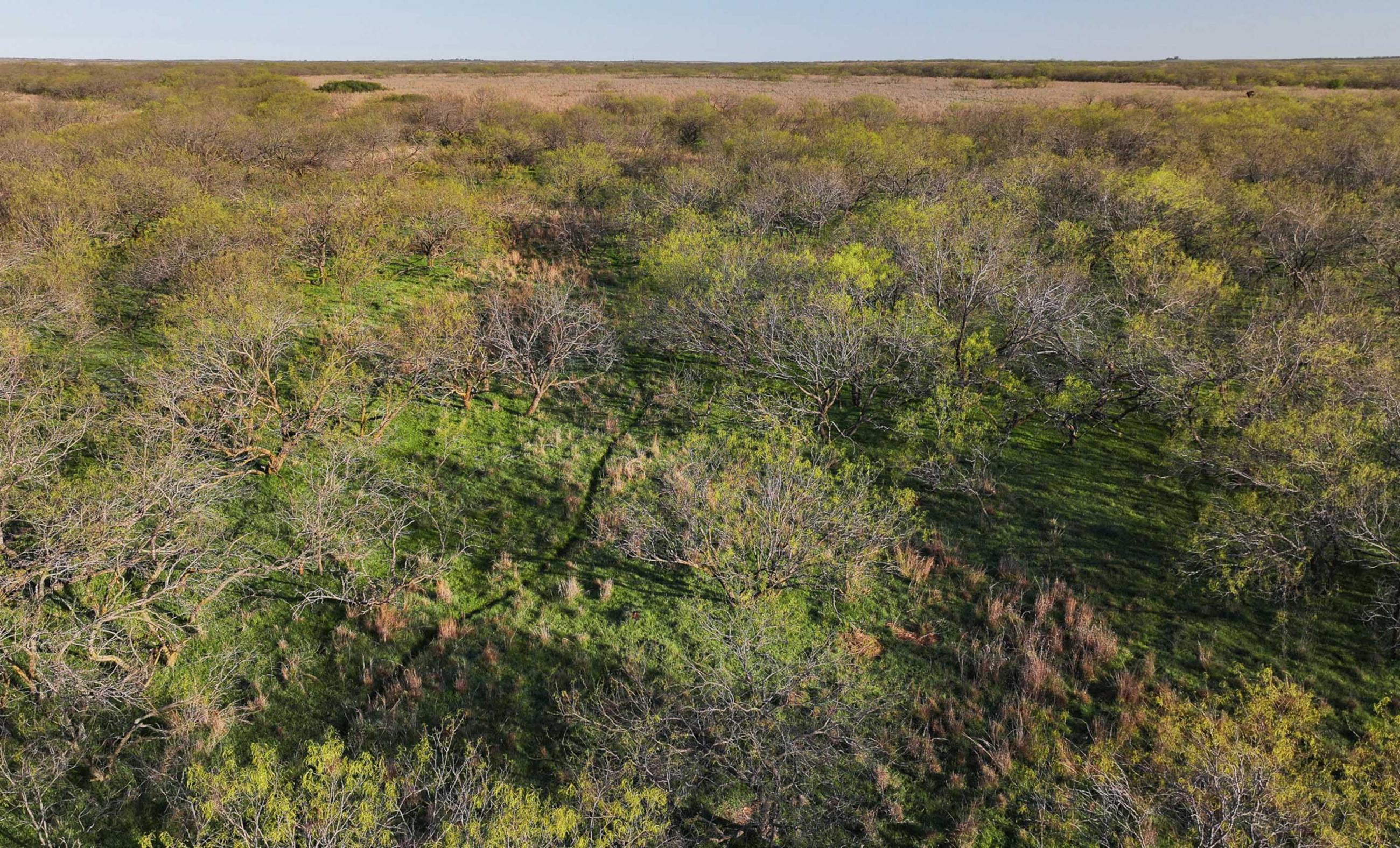 Springs Ranch | Chas S. Middleton