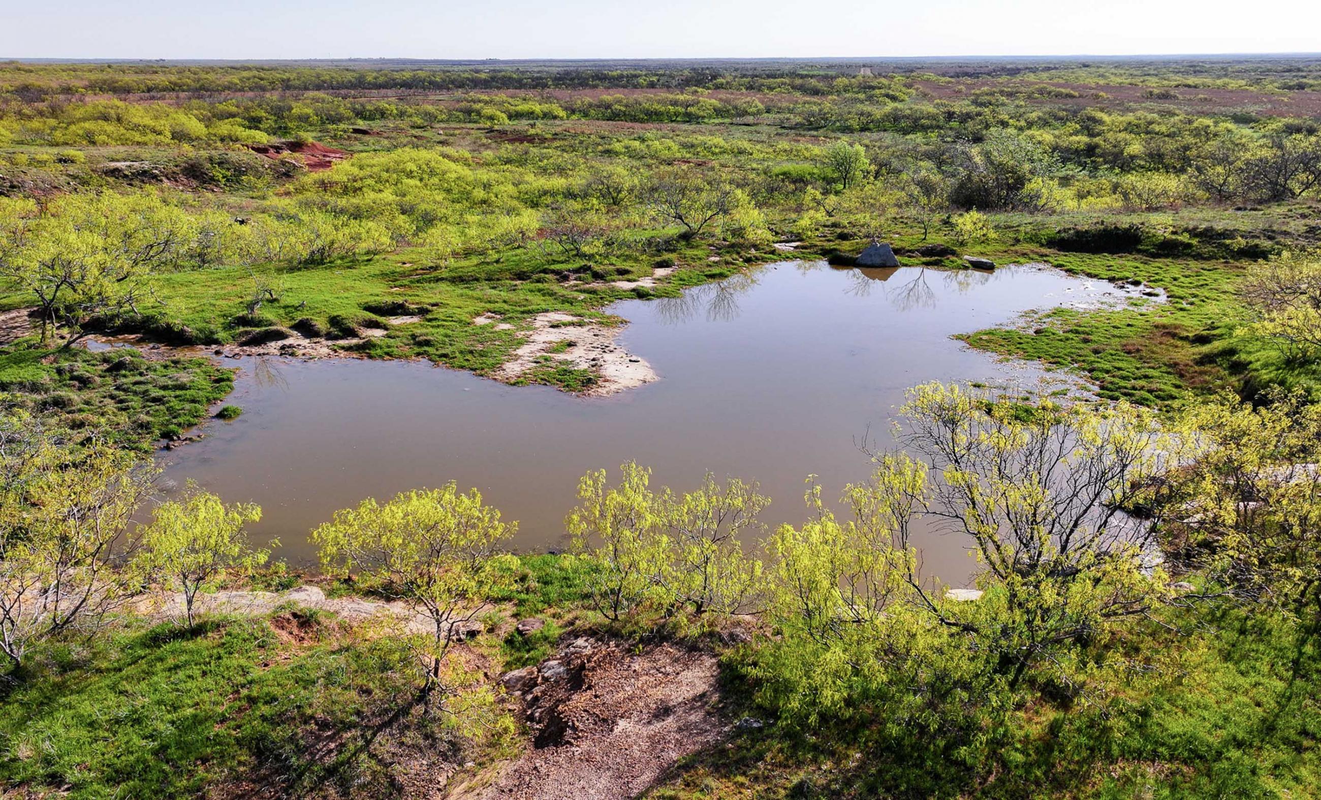 Springs Ranch | Chas S. Middleton
