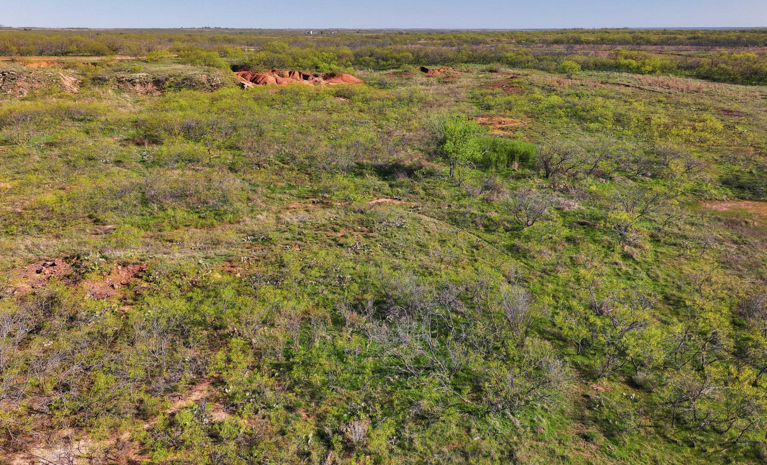 Springs Ranch | Chas S. Middleton